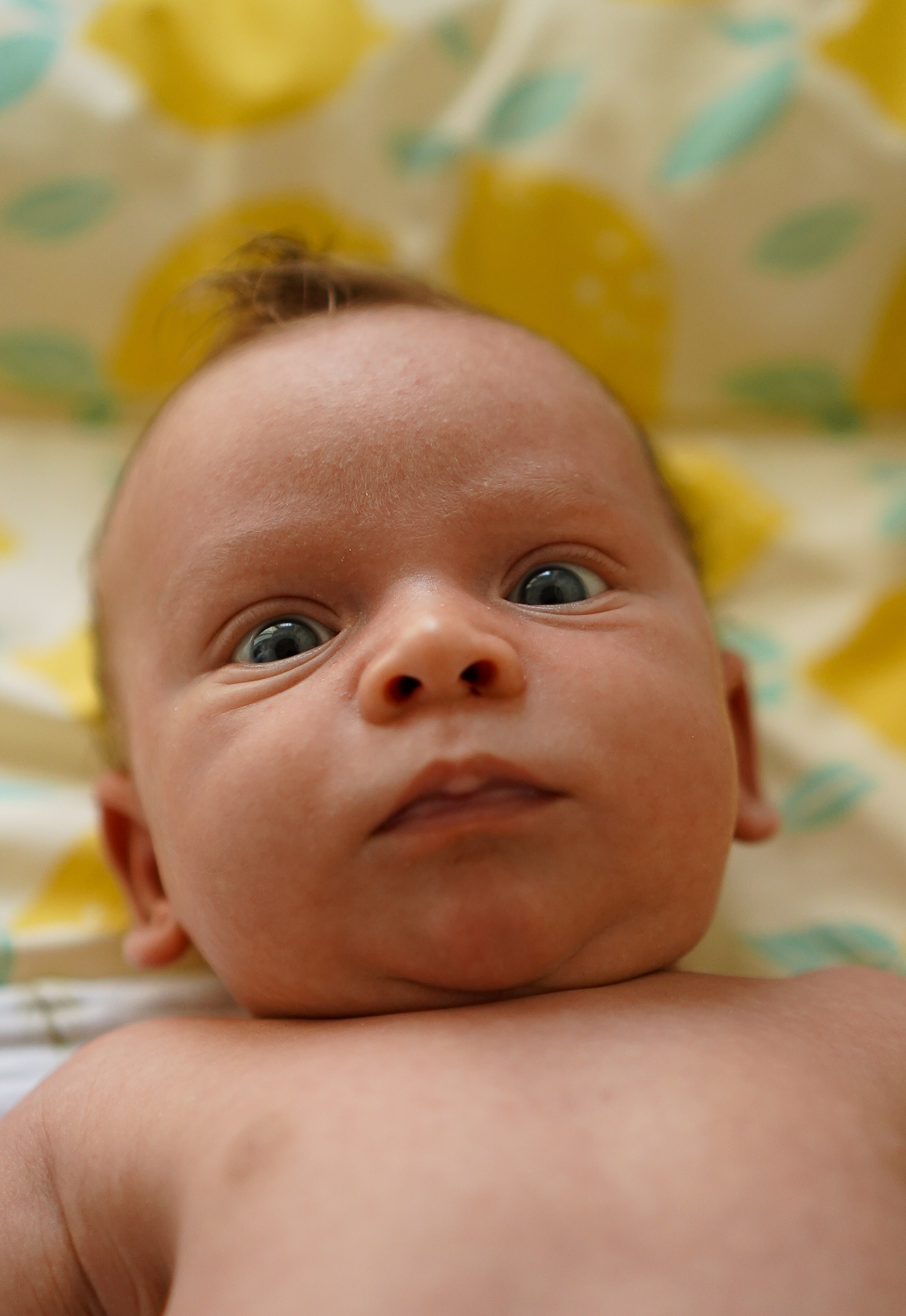 Федя, новенький на планете. Семейный фотограф в Москве Коровушкина Наталья. Съемка контента