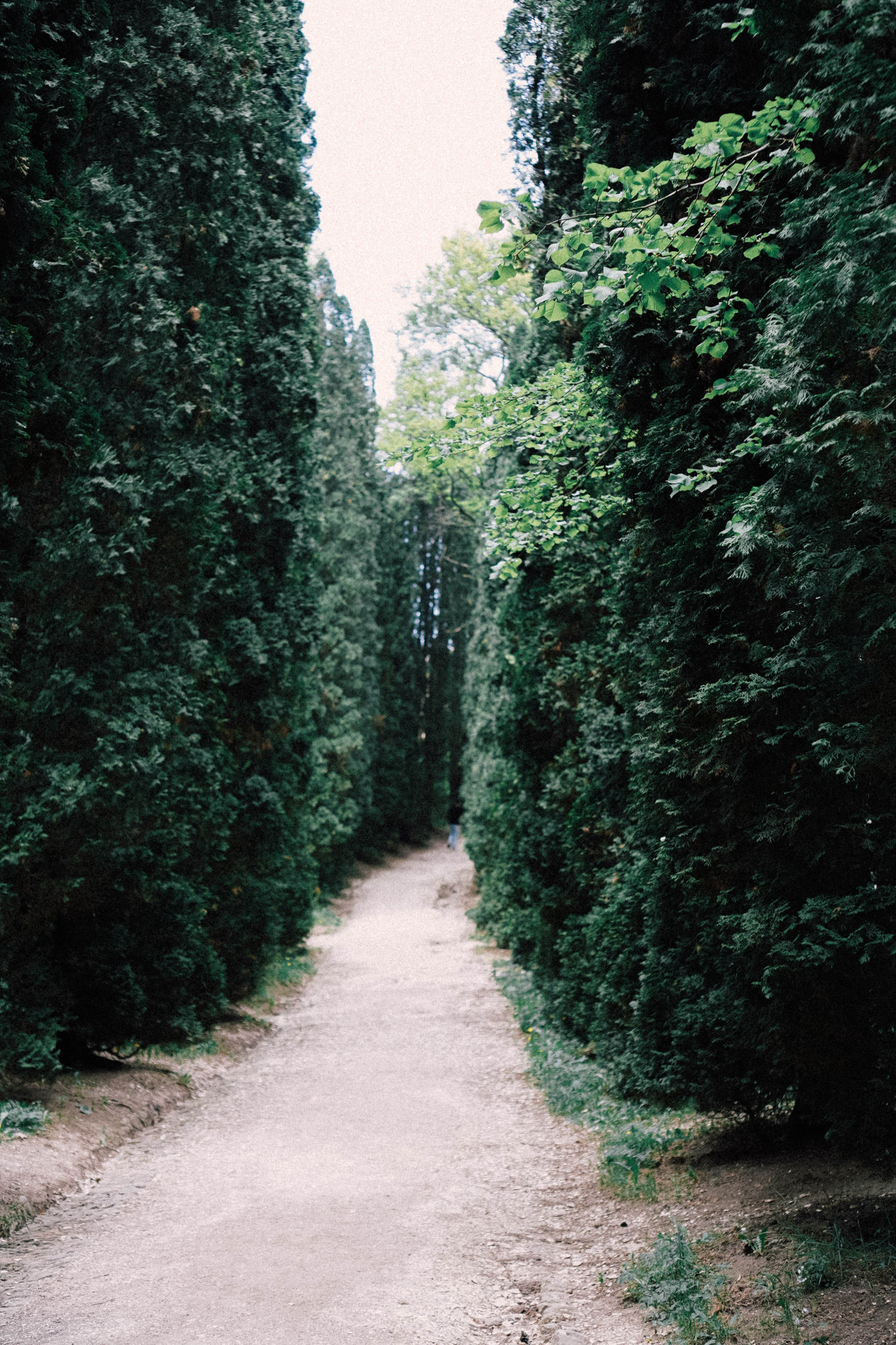 КИСЛОВОДСК. Профессиональный фотограф, Санкт-Петербург — Виктория Богомолова