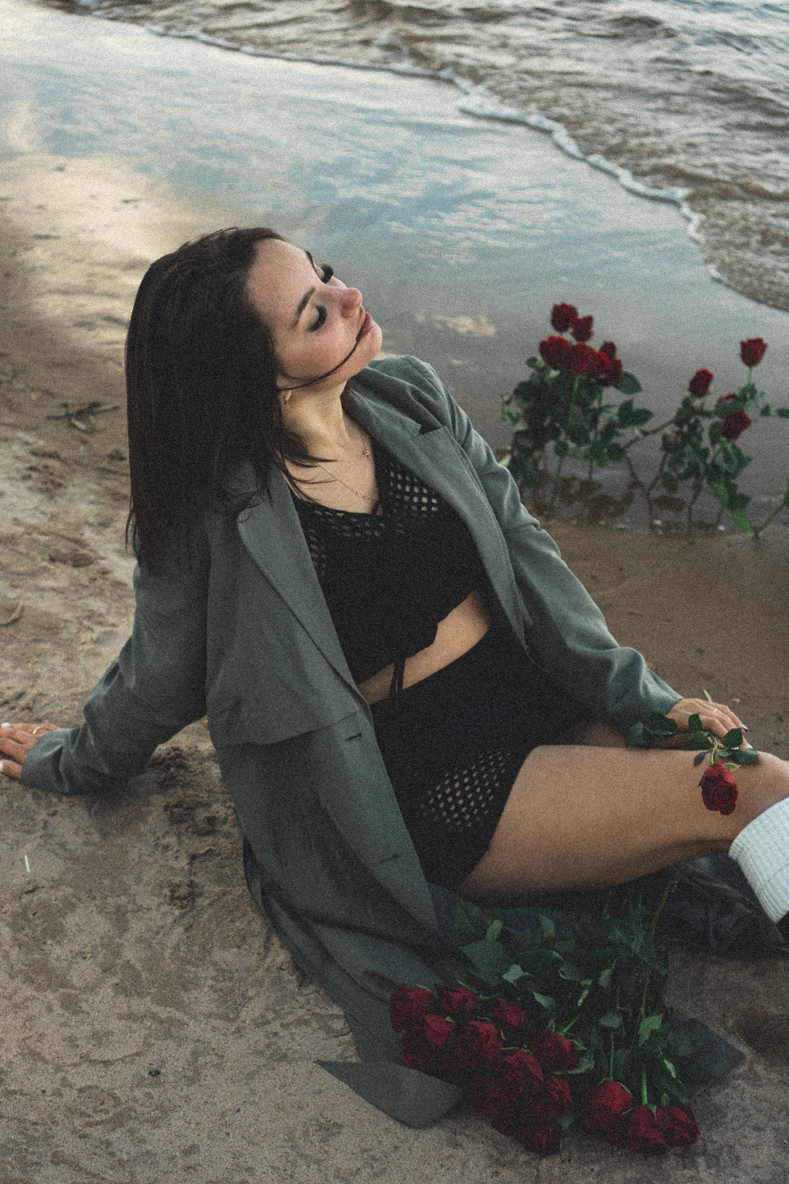 Розы. Профессиональный фотограф, Санкт-Петербург — Виктория Богомолова