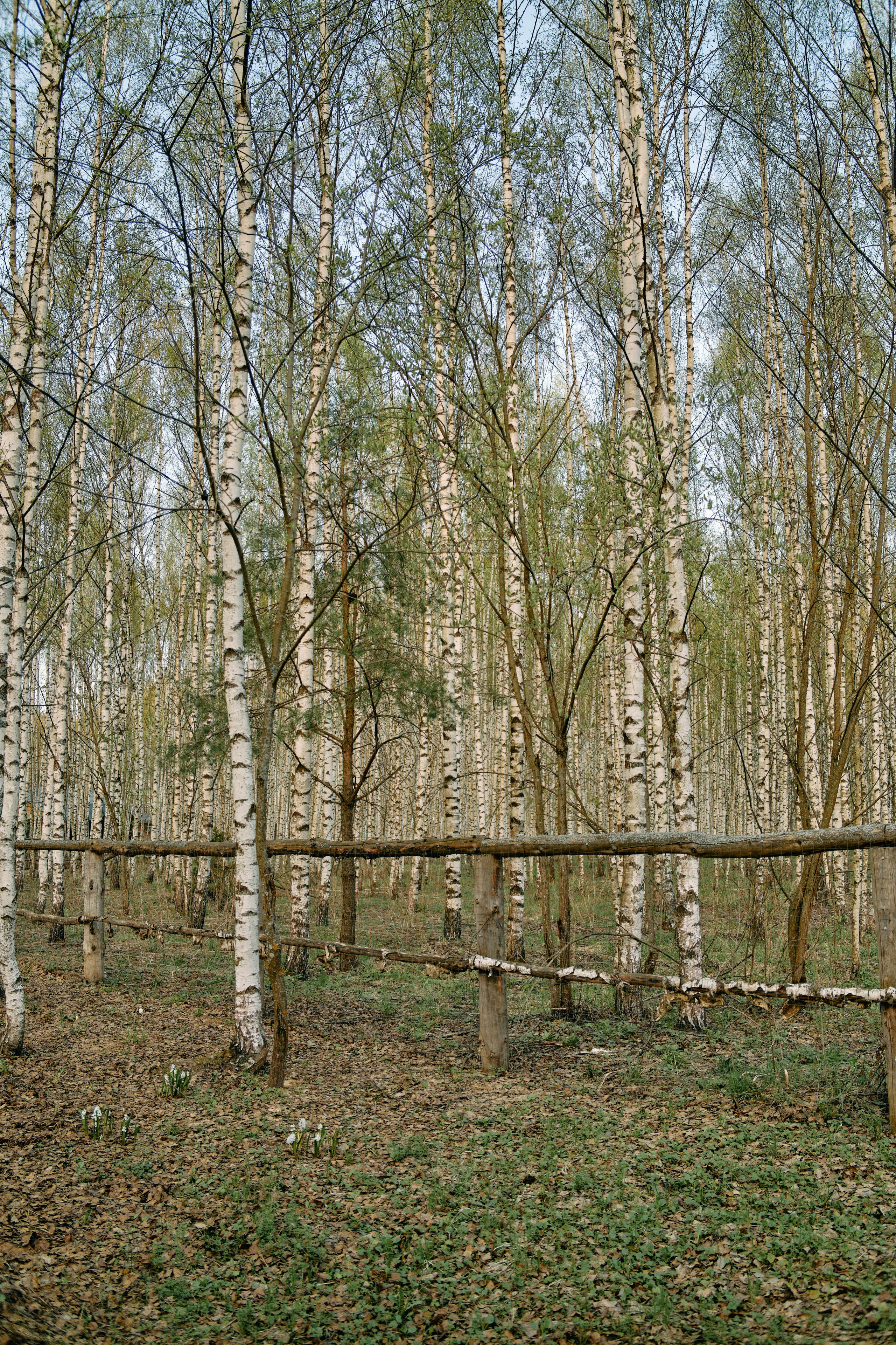 Бутик-отель Поле летом. Профессиональный Фотограф во Владимире, в Москве и в Суздале — Полина Романычева