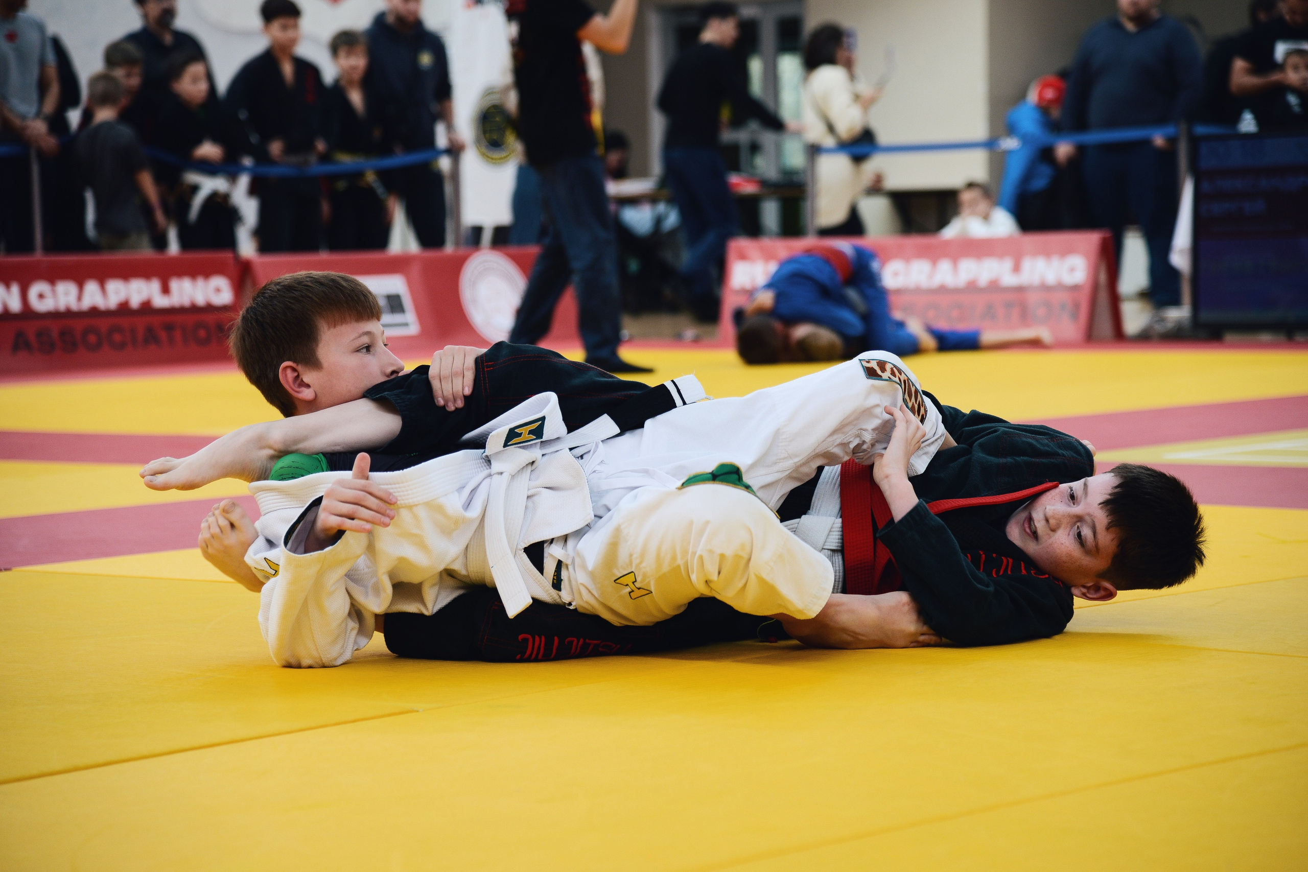 Всероссийский турнир по Бразильскому Джиу-Джитцу «Rock&Rolling 32» Gi + (No-Gi). Спортивный фотограф в Москве | Наталья K