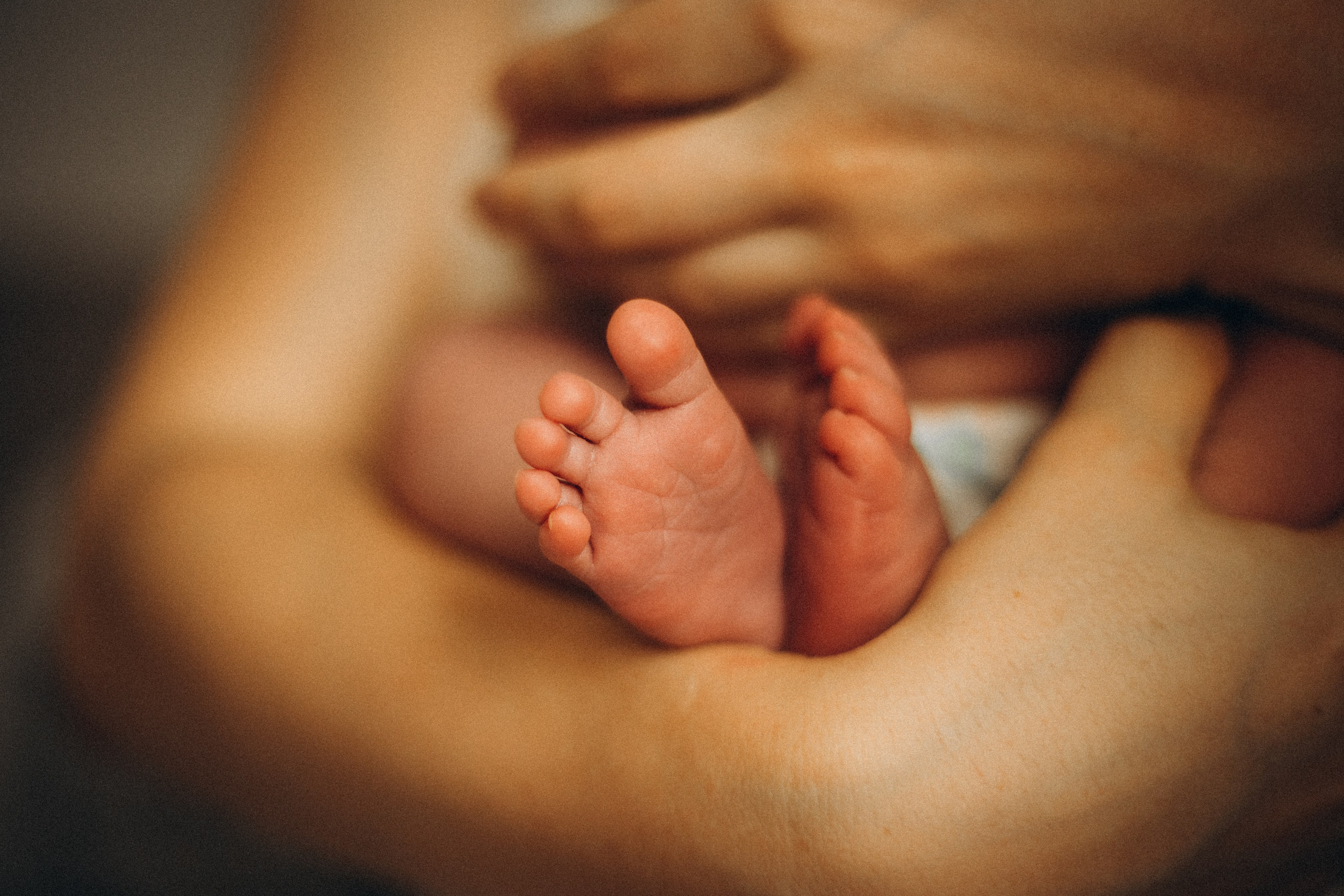 Мелисса. Семейный фотограф Виктория Потехина Москва