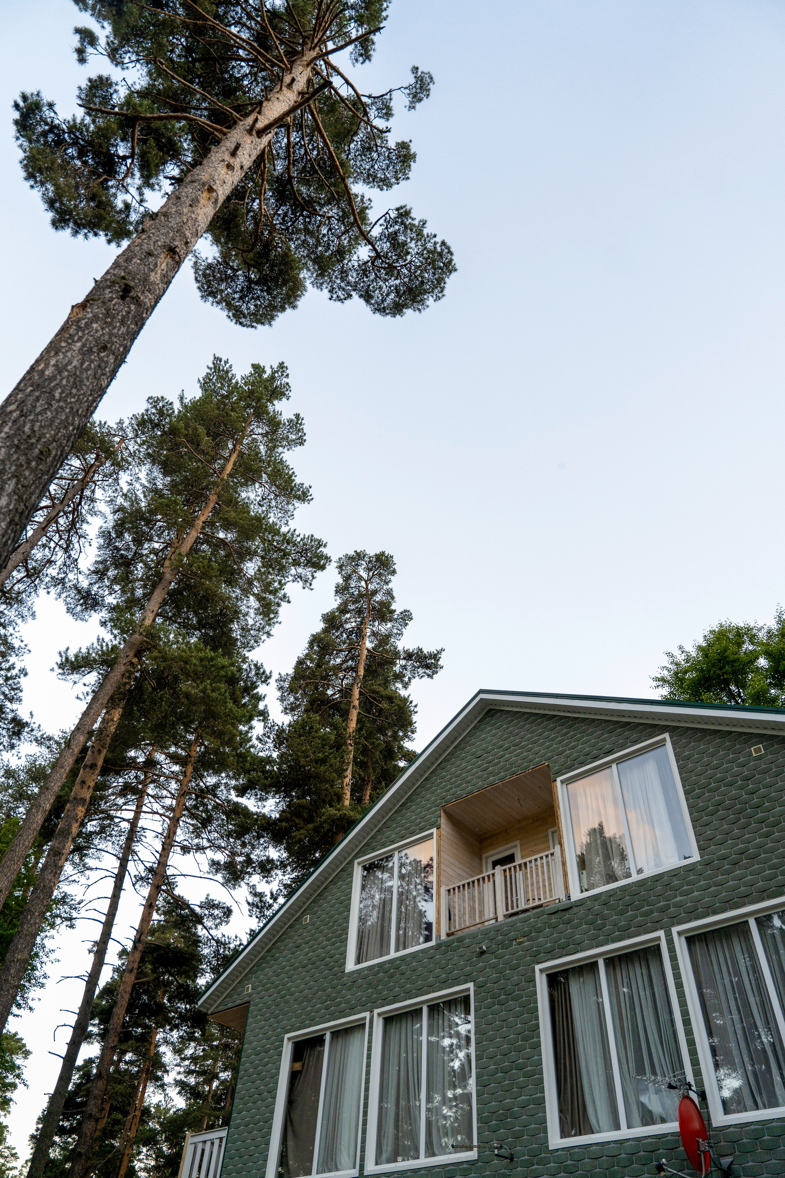 Green Park. Фотограф и видеограф Елена Хмелевская