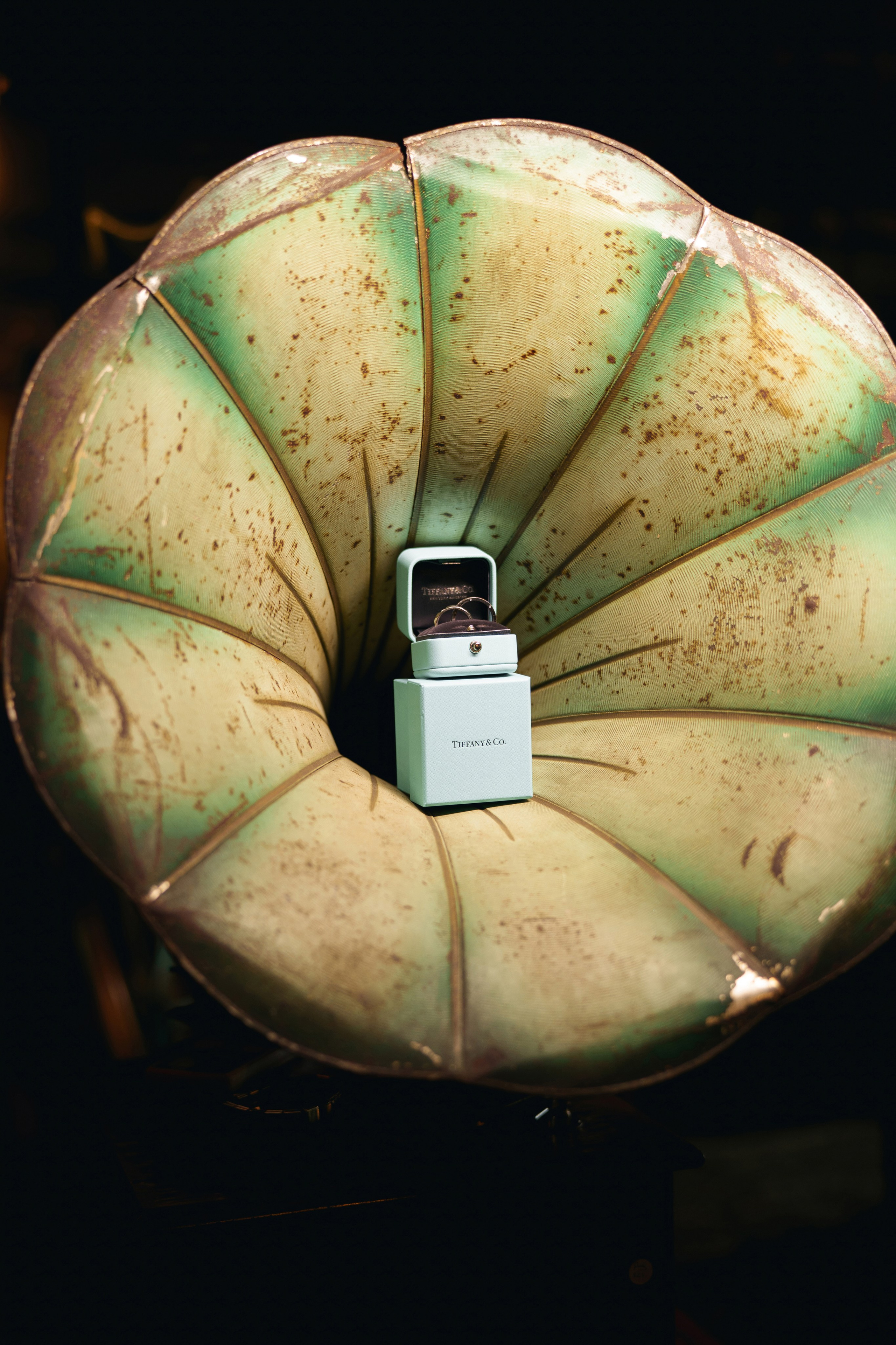 Karina | Anton. Свадебный фотограф в Ростовe-на-Дону Анастасия Прутова