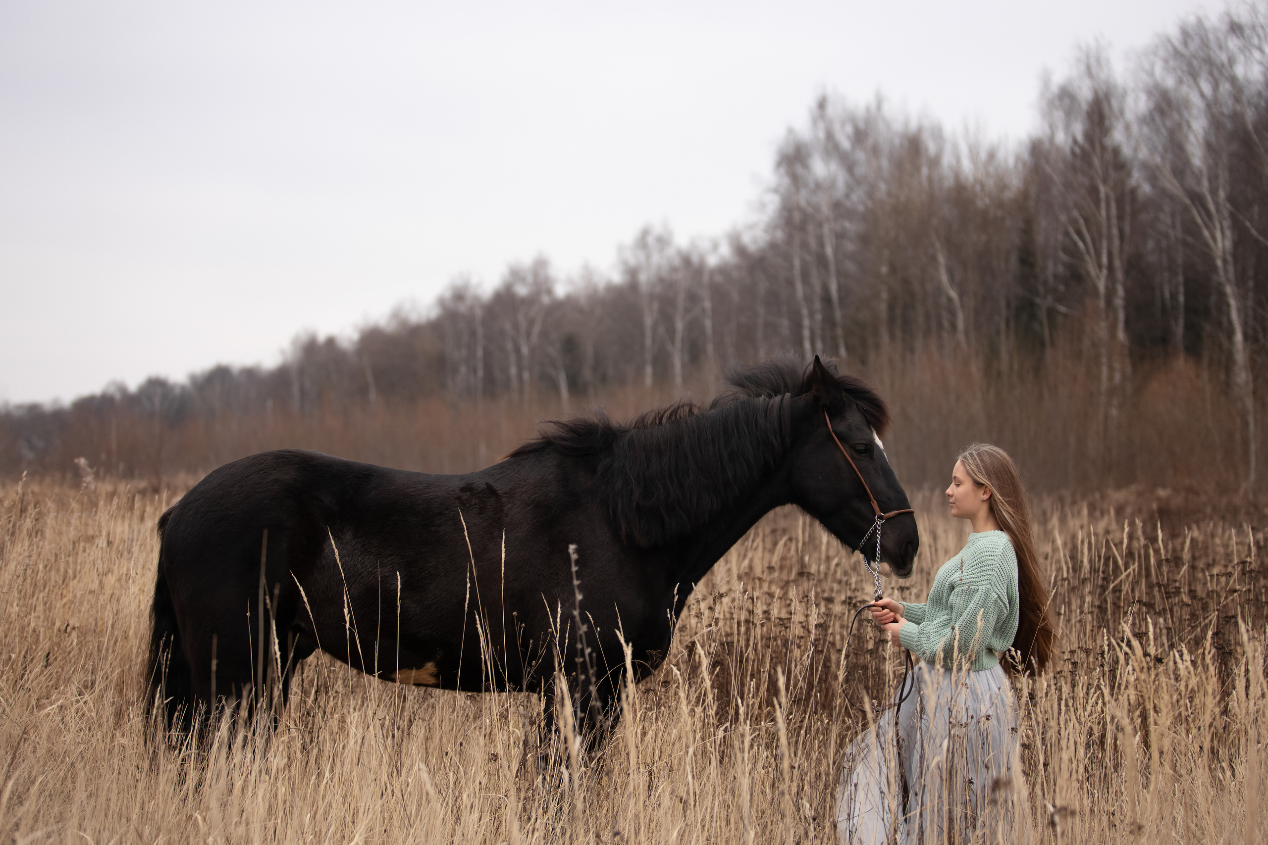 Съемка с лошадью. Бочарова Мария — школьный фотограф Апрелевка, Новая Москва, Московская область