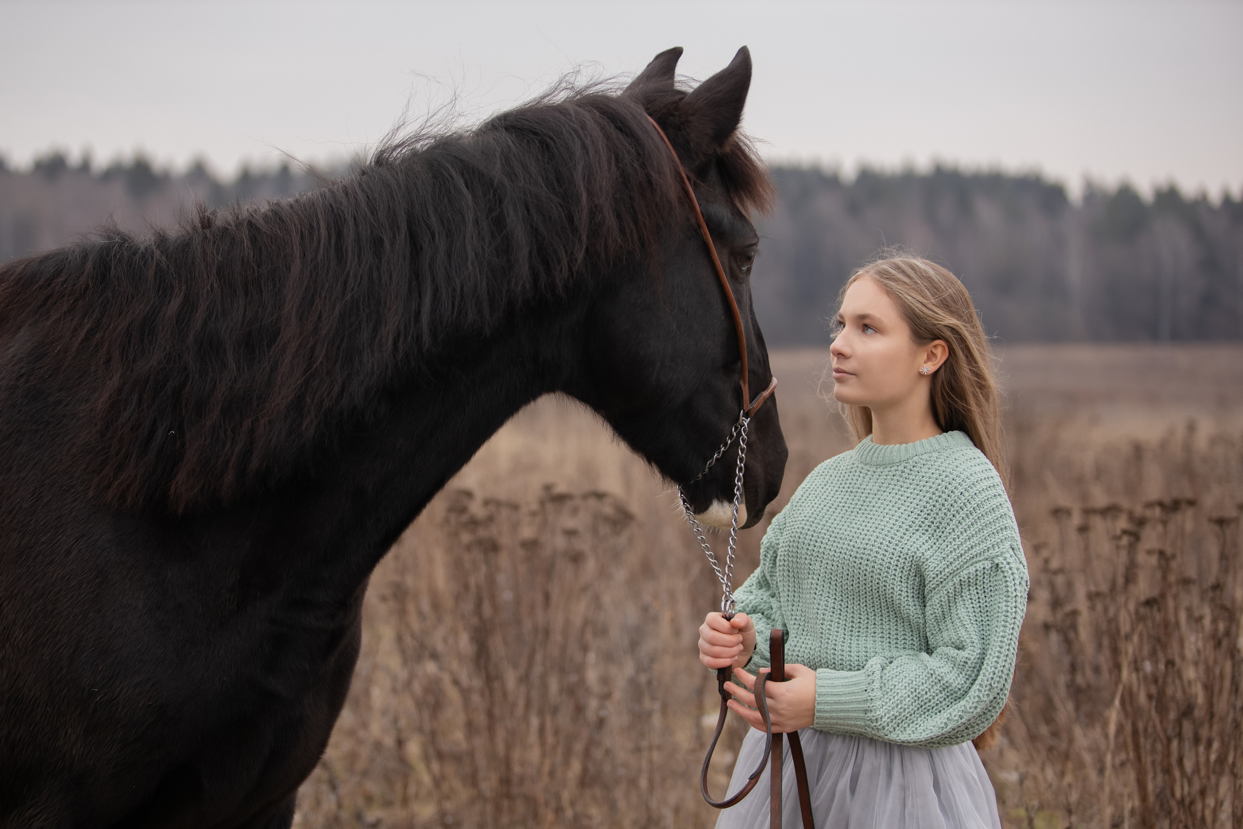 Съемка с лошадью. Бочарова Мария — школьный фотограф Апрелевка, Новая Москва, Московская область