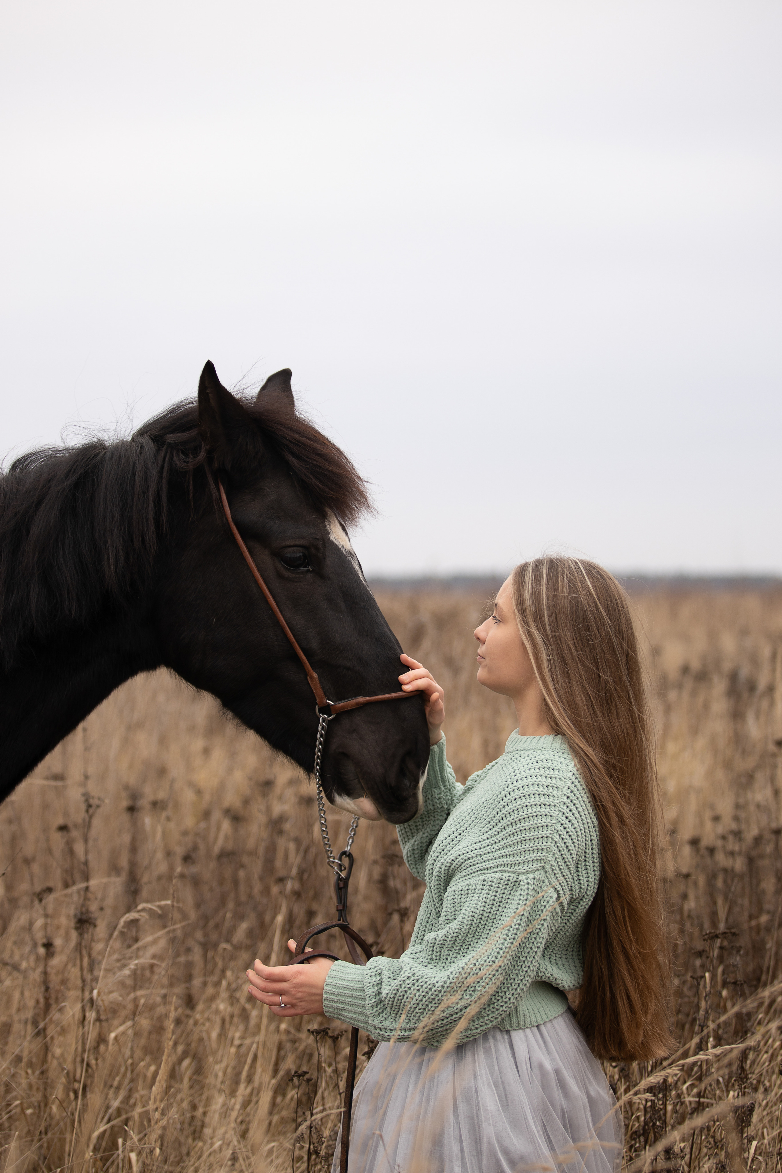Съемка с лошадью. Бочарова Мария — школьный фотограф Апрелевка, Новая Москва, Московская область