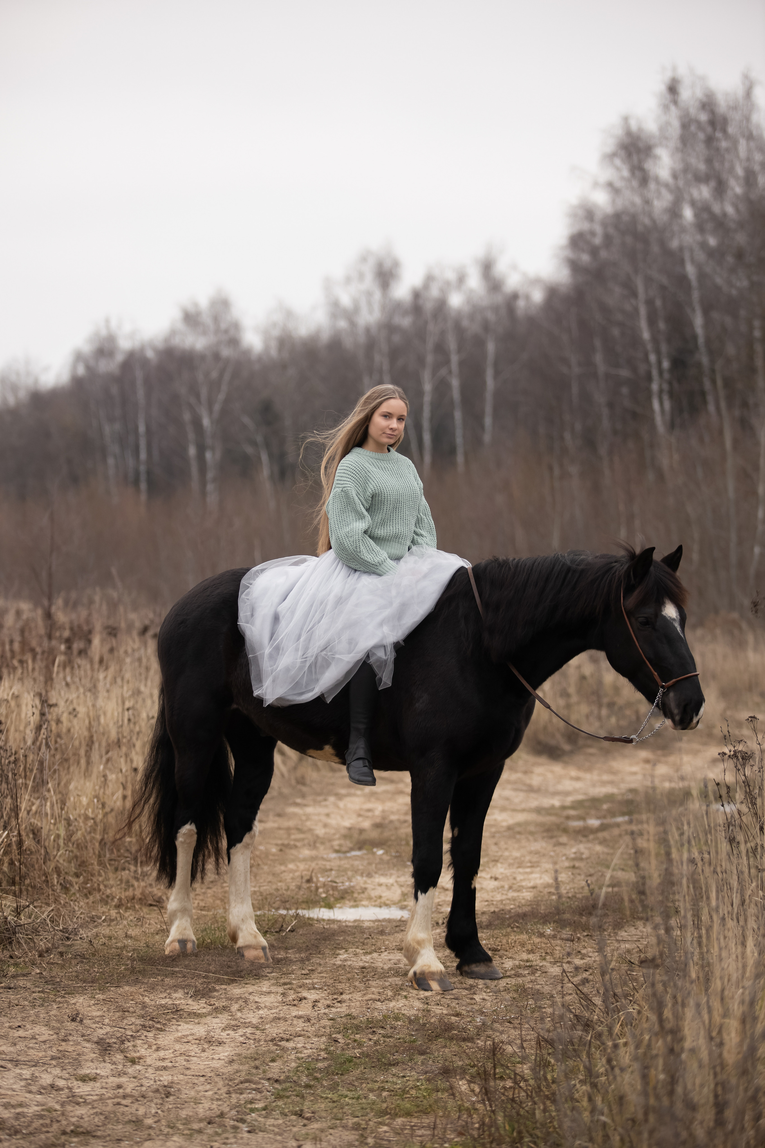 Съемка с лошадью. Бочарова Мария — школьный фотограф Апрелевка, Новая Москва, Московская область