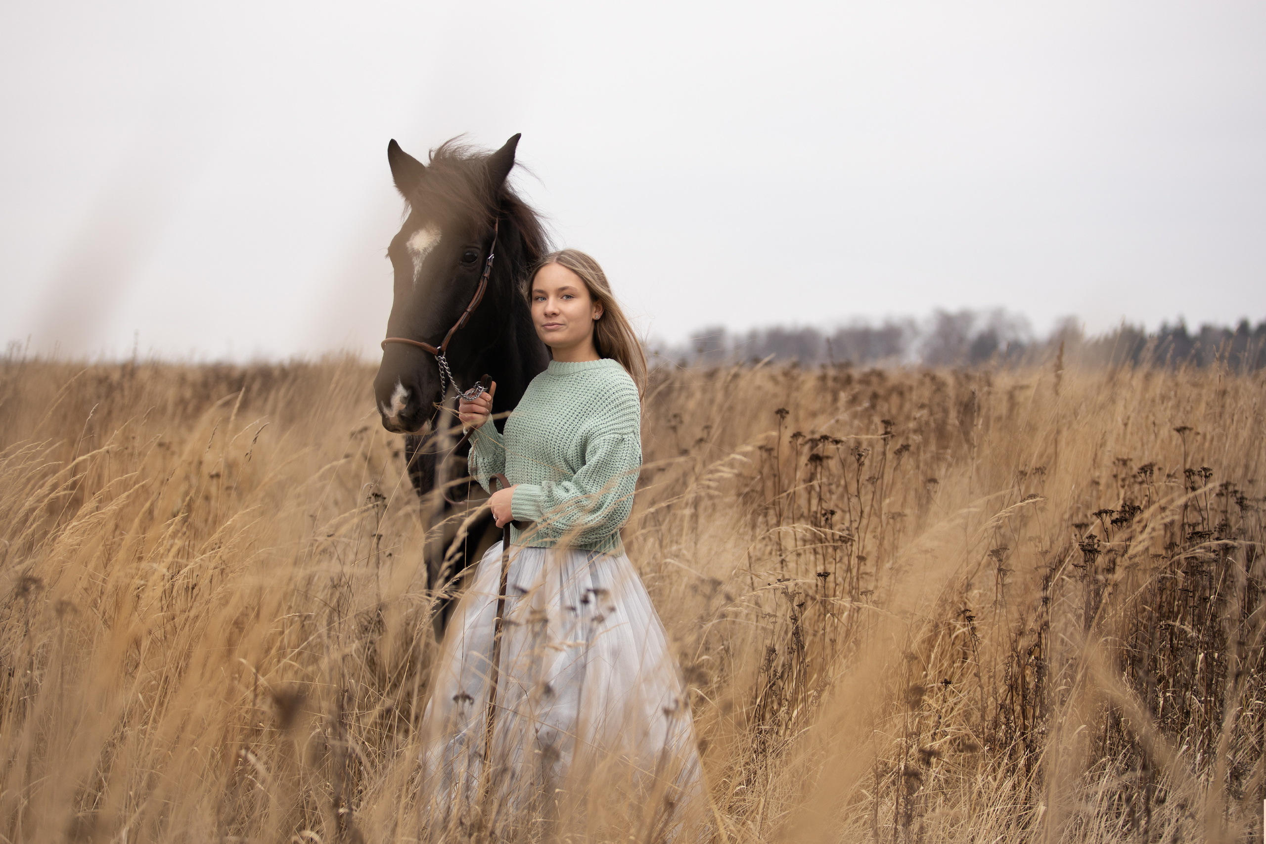 Съемка с лошадью. Бочарова Мария — школьный фотограф Апрелевка, Новая Москва, Московская область