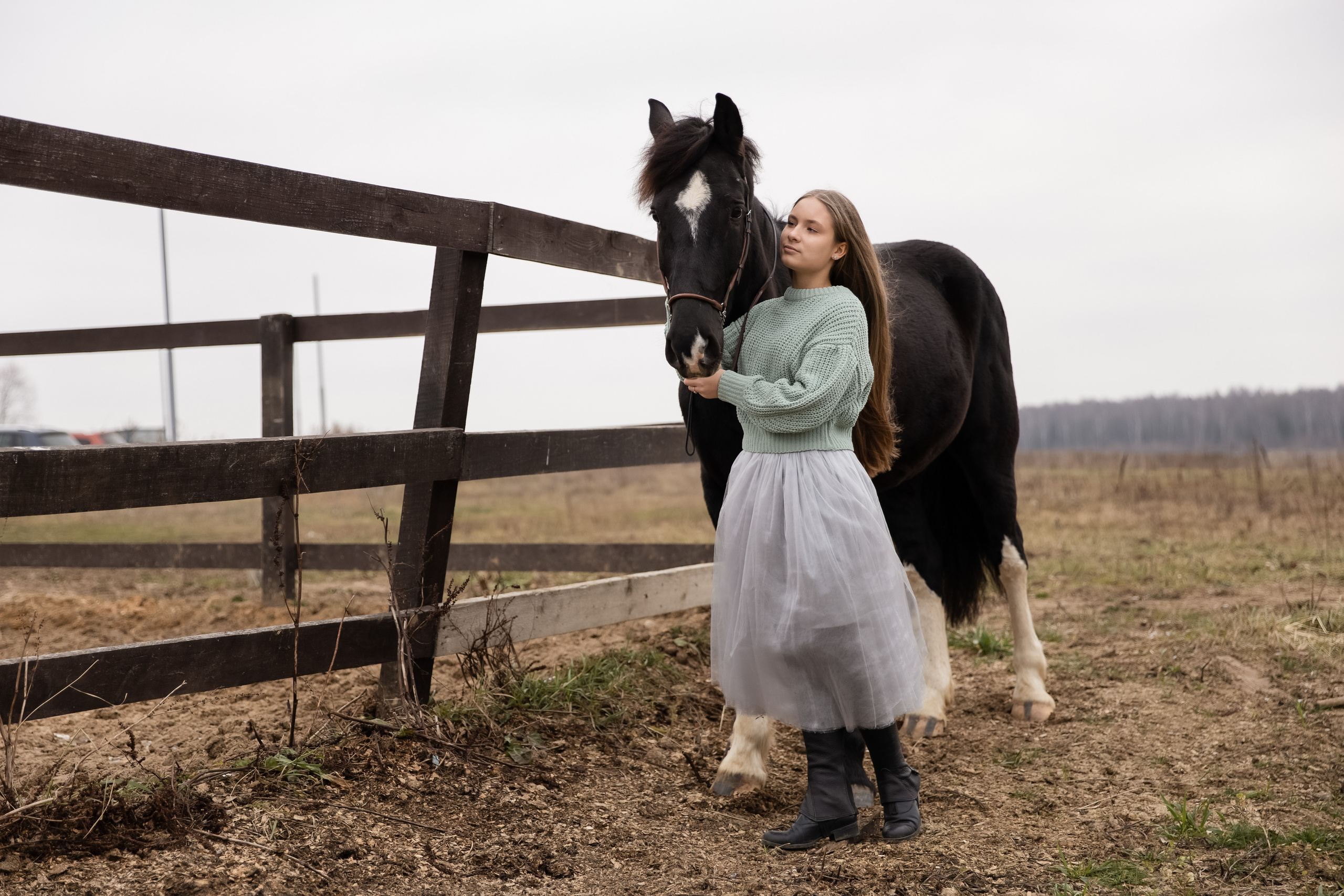 Съемка с лошадью. Бочарова Мария — школьный фотограф Апрелевка, Новая Москва, Московская область