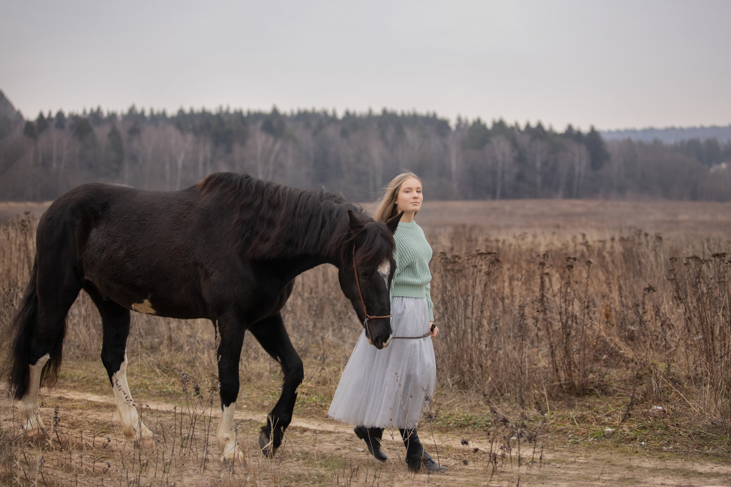 Съемка с лошадью. Бочарова Мария — школьный фотограф Апрелевка, Новая Москва, Московская область