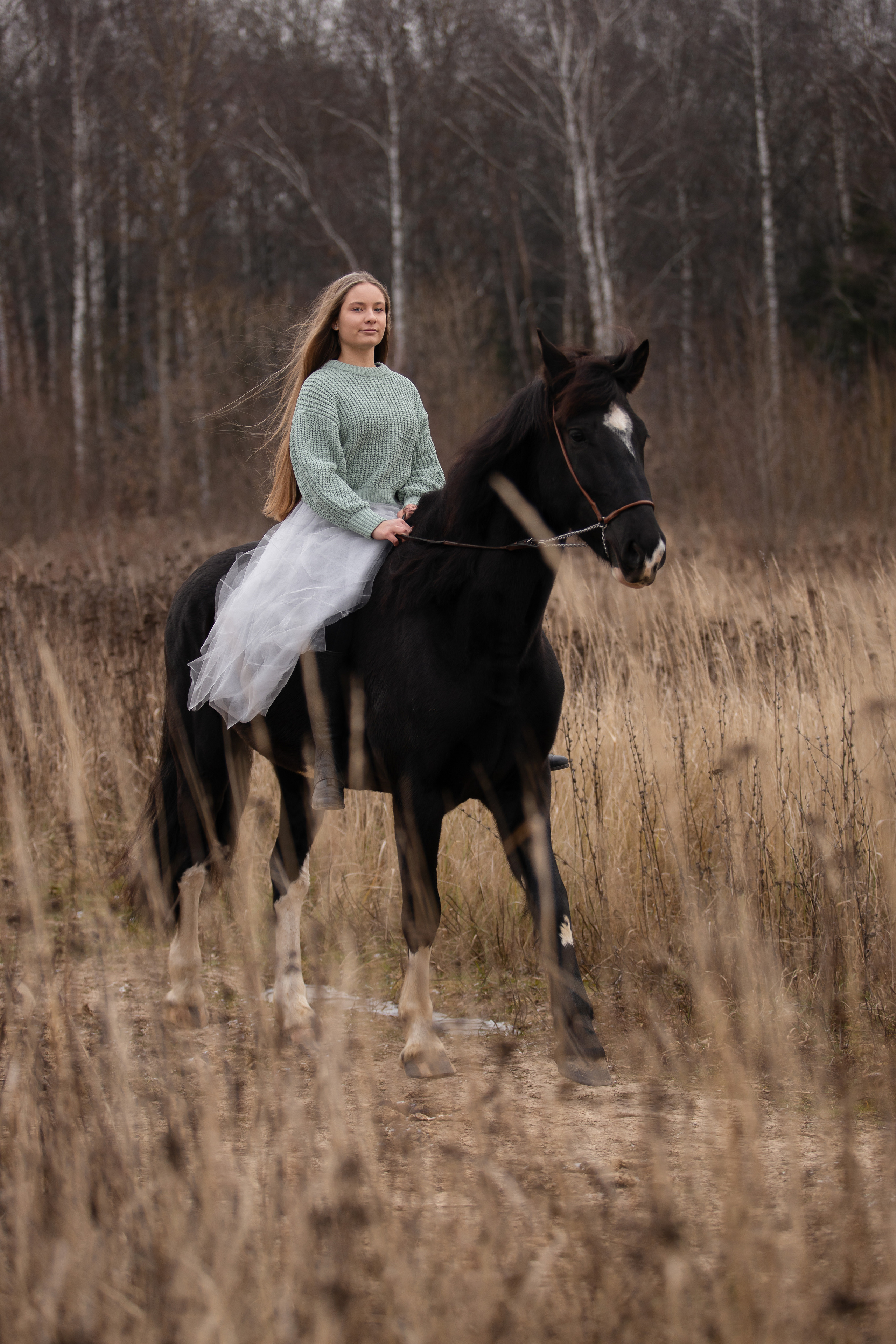 Съемка с лошадью. Бочарова Мария — школьный фотограф Апрелевка, Новая Москва, Московская область