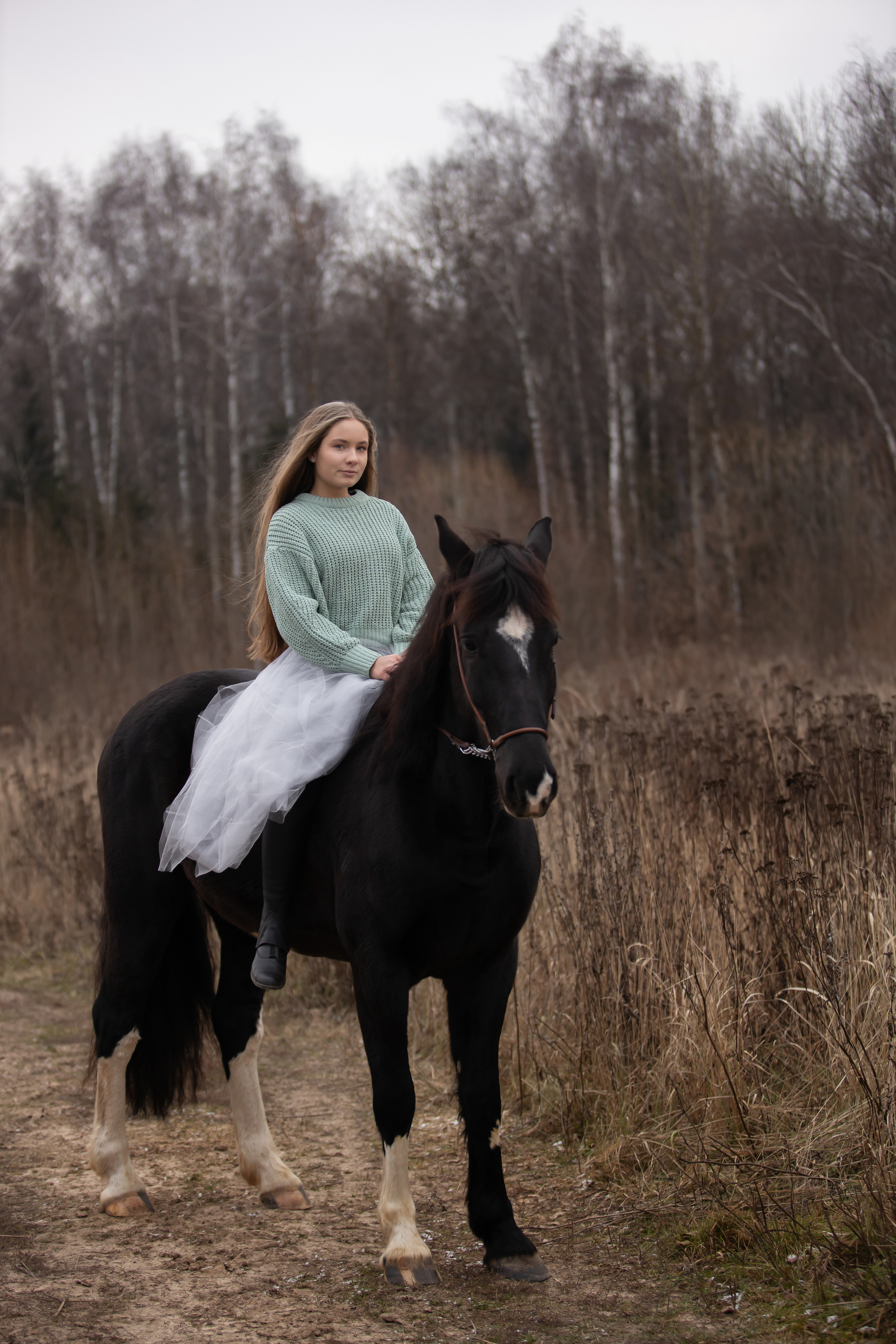 Съемка с лошадью. Бочарова Мария — школьный фотограф Апрелевка, Новая Москва, Московская область