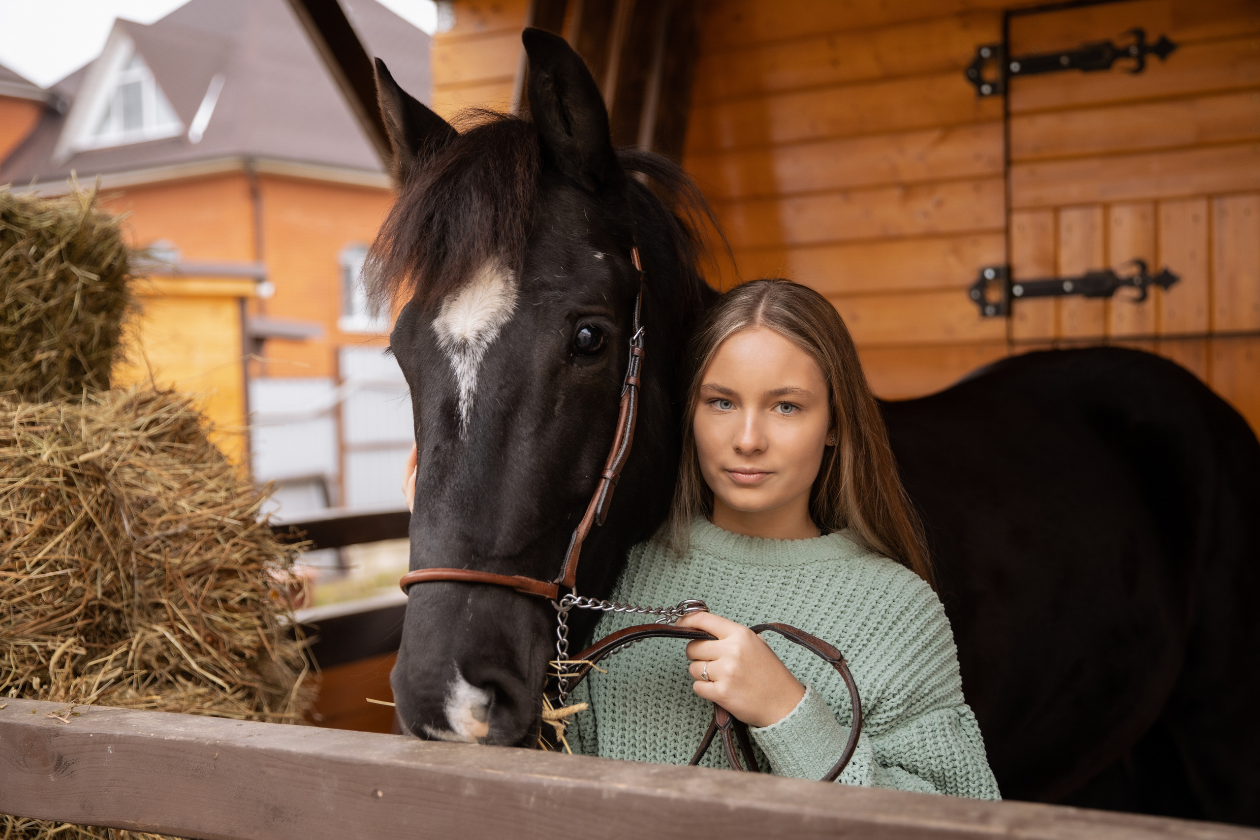 Съемка с лошадью. Бочарова Мария — школьный фотограф Апрелевка, Новая Москва, Московская область