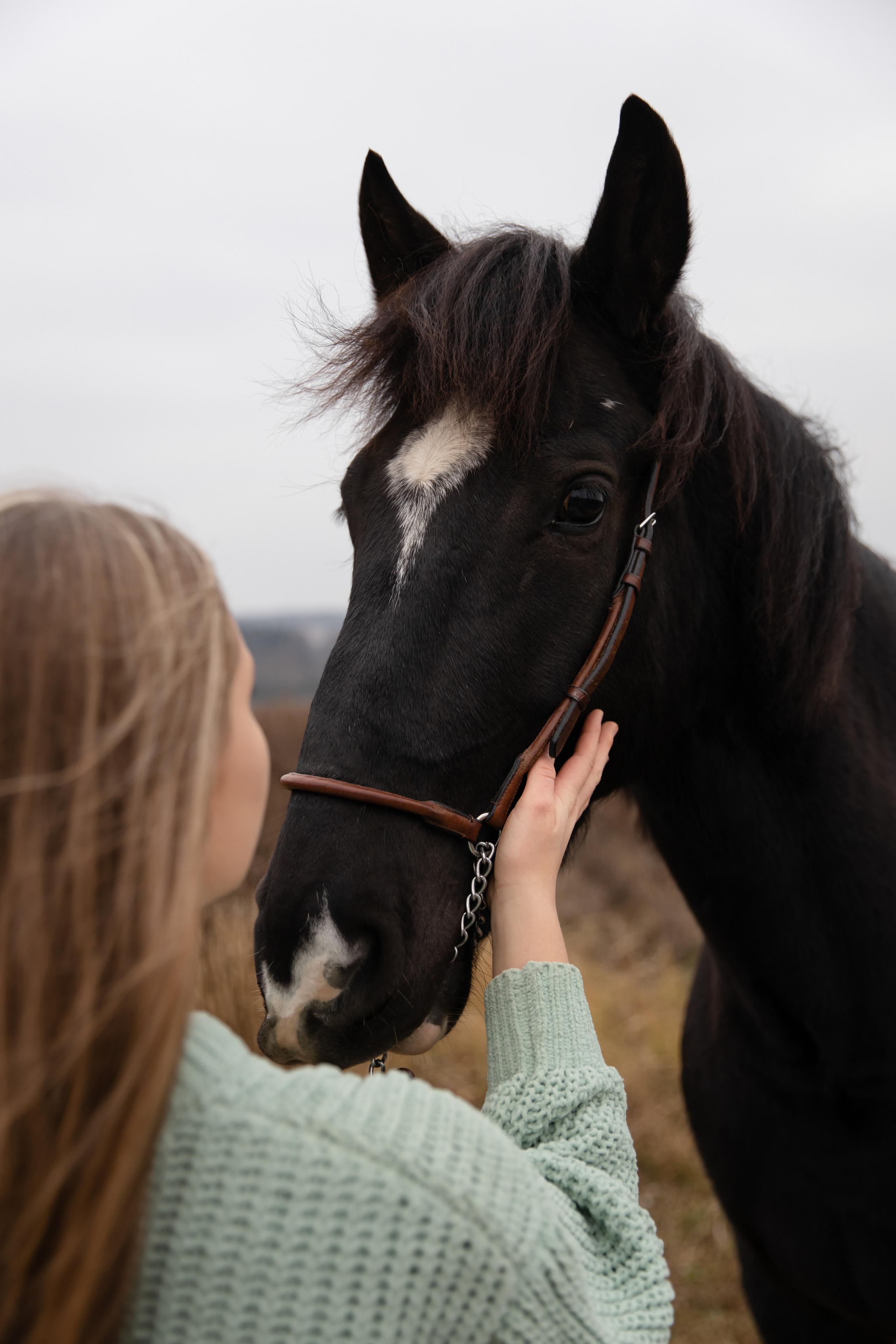 Съемка с лошадью. Бочарова Мария — школьный фотограф Апрелевка, Новая Москва, Московская область
