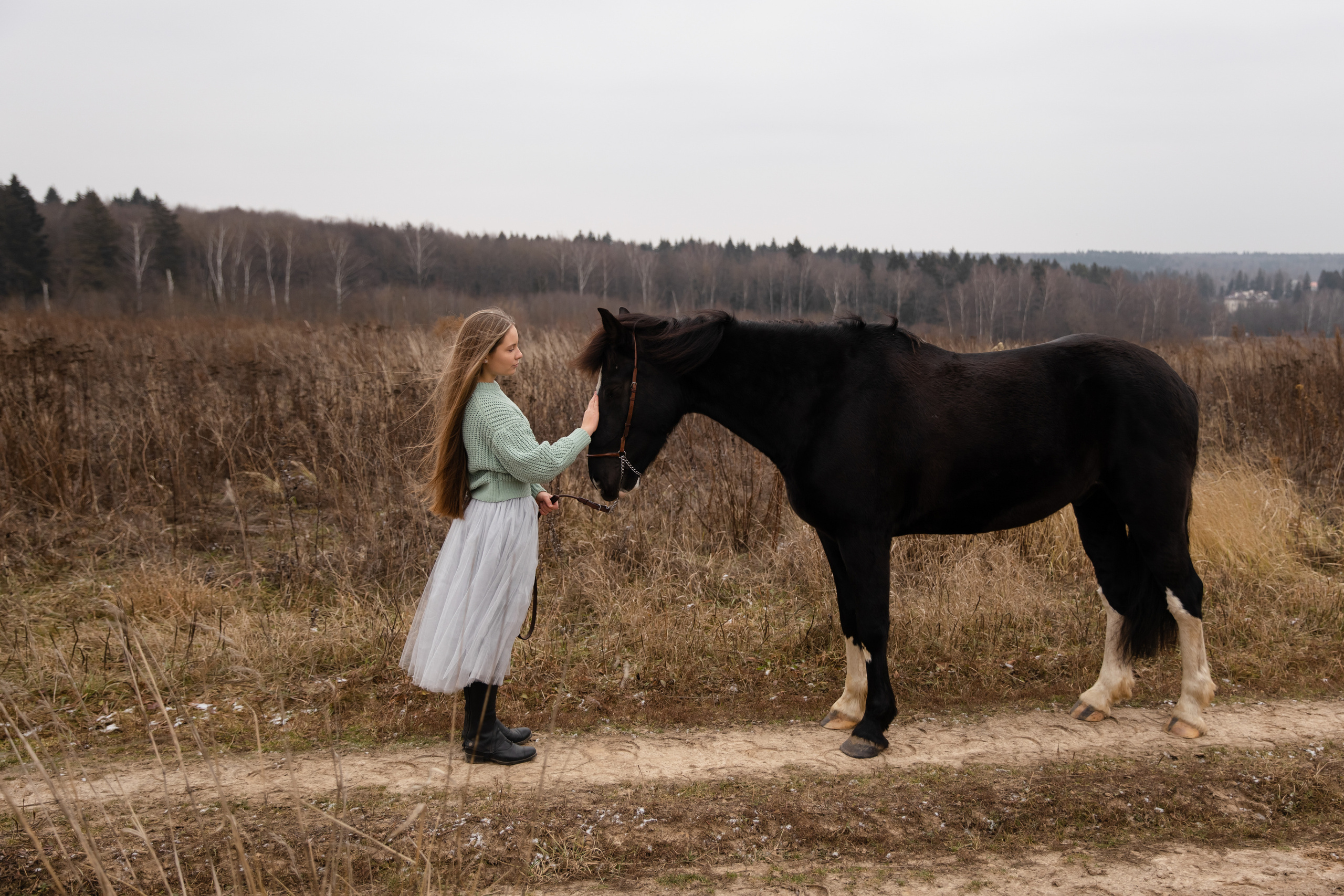 Съемка с лошадью. Бочарова Мария — школьный фотограф Апрелевка, Новая Москва, Московская область