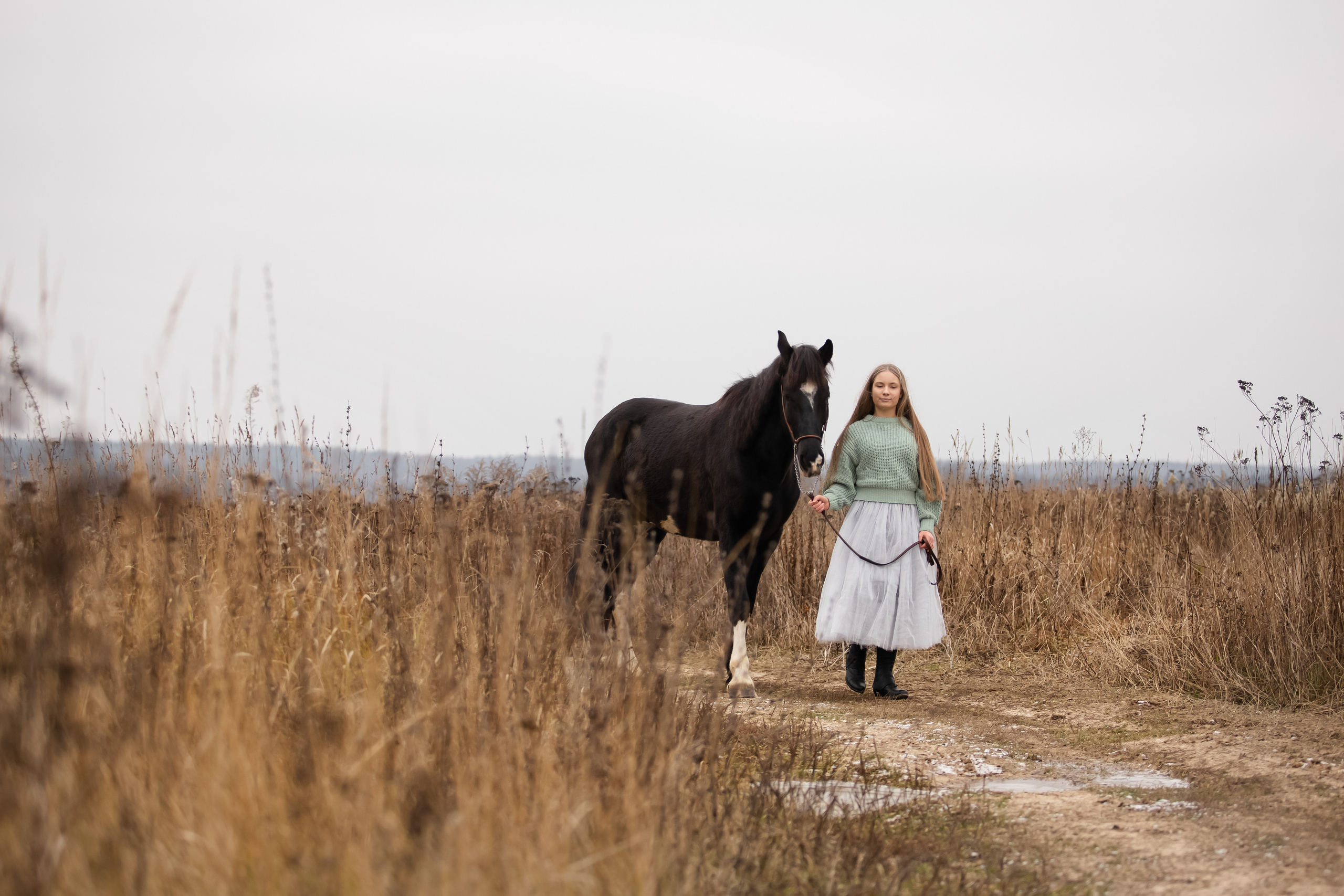 Съемка с лошадью. Бочарова Мария — школьный фотограф Апрелевка, Новая Москва, Московская область