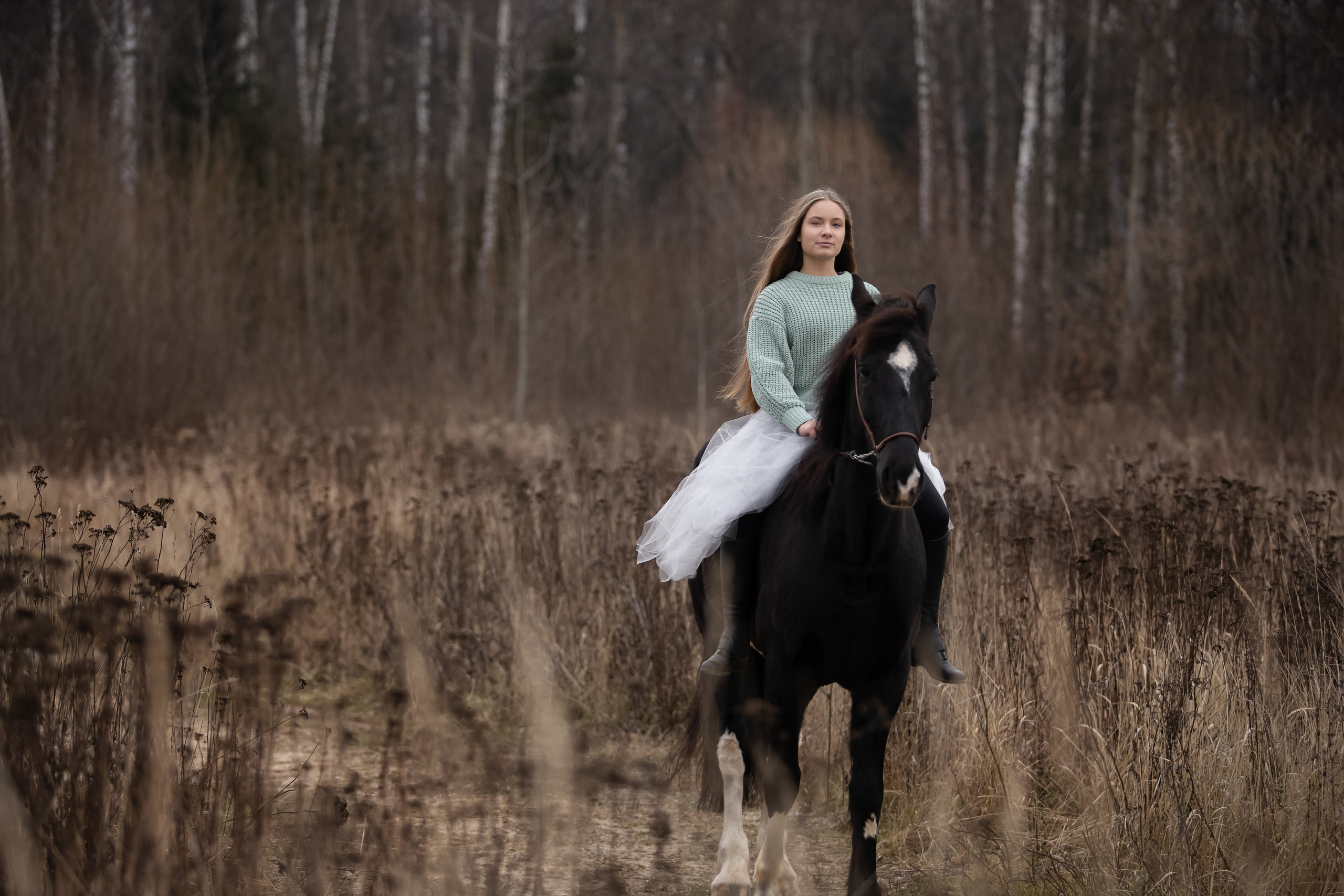 Съемка с лошадью. Бочарова Мария — школьный фотограф Апрелевка, Новая Москва, Московская область