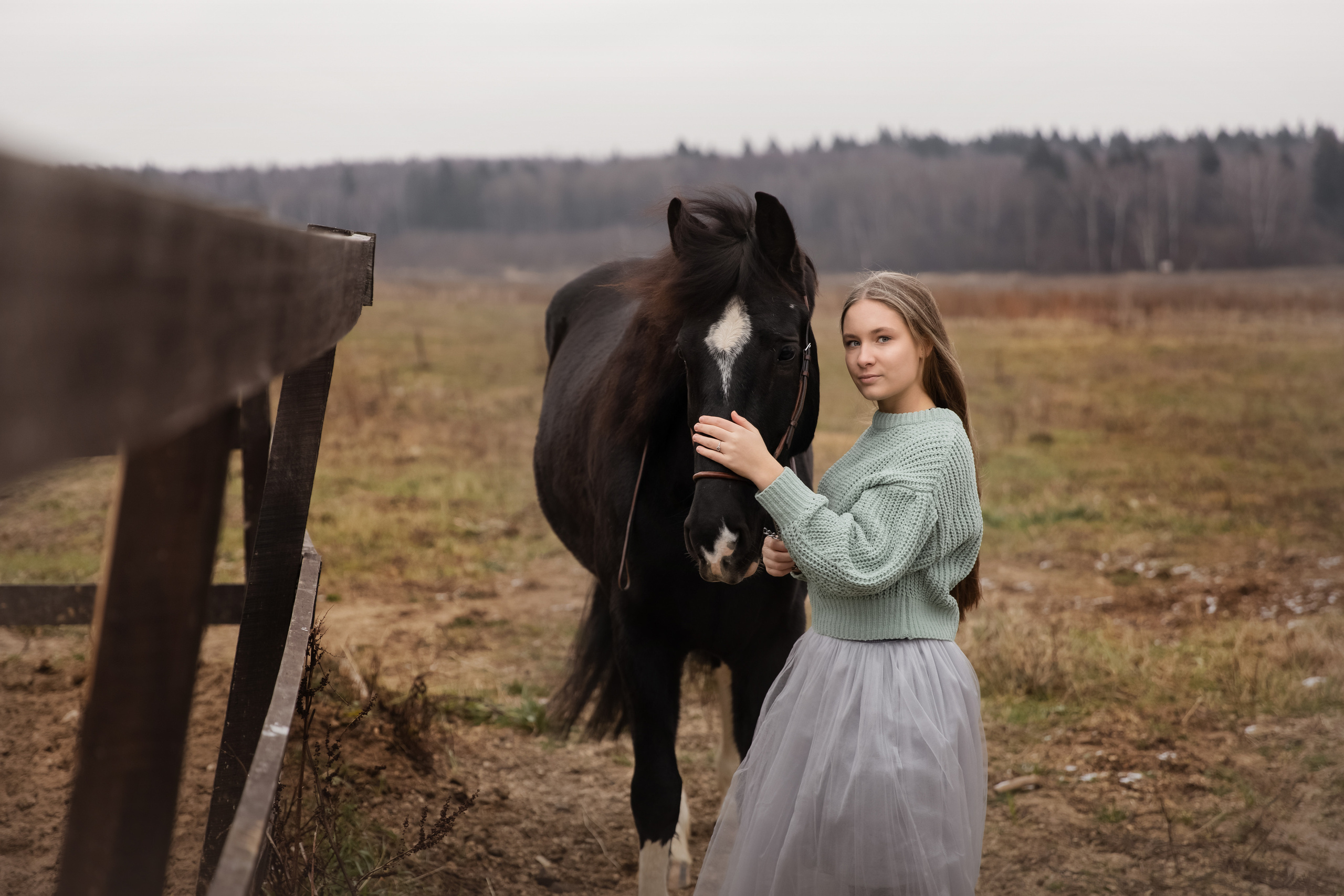 Съемка с лошадью. Бочарова Мария — школьный фотограф Апрелевка, Новая Москва, Московская область