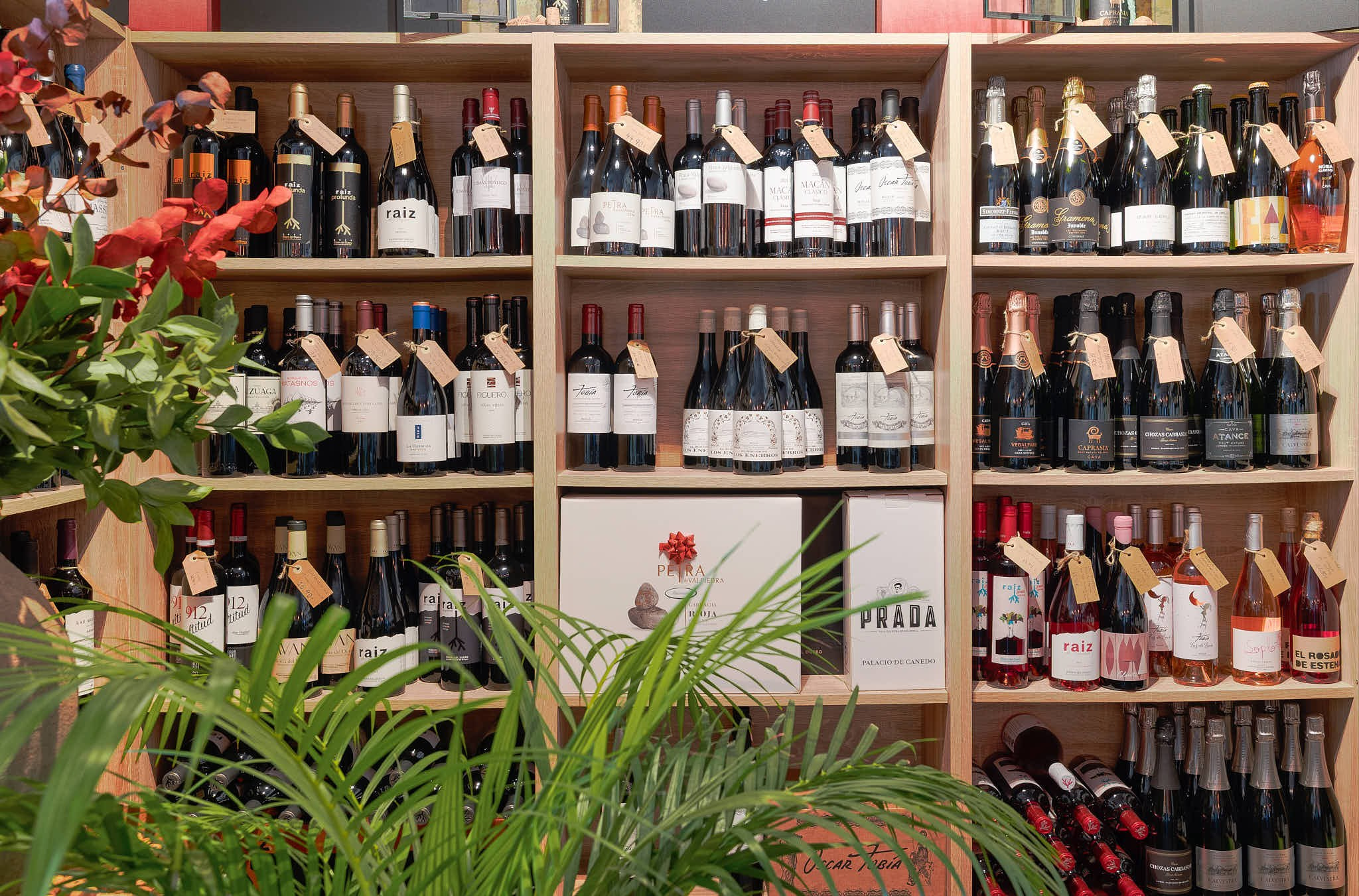 Shelves with wine and plants in a shop interior in Valencia