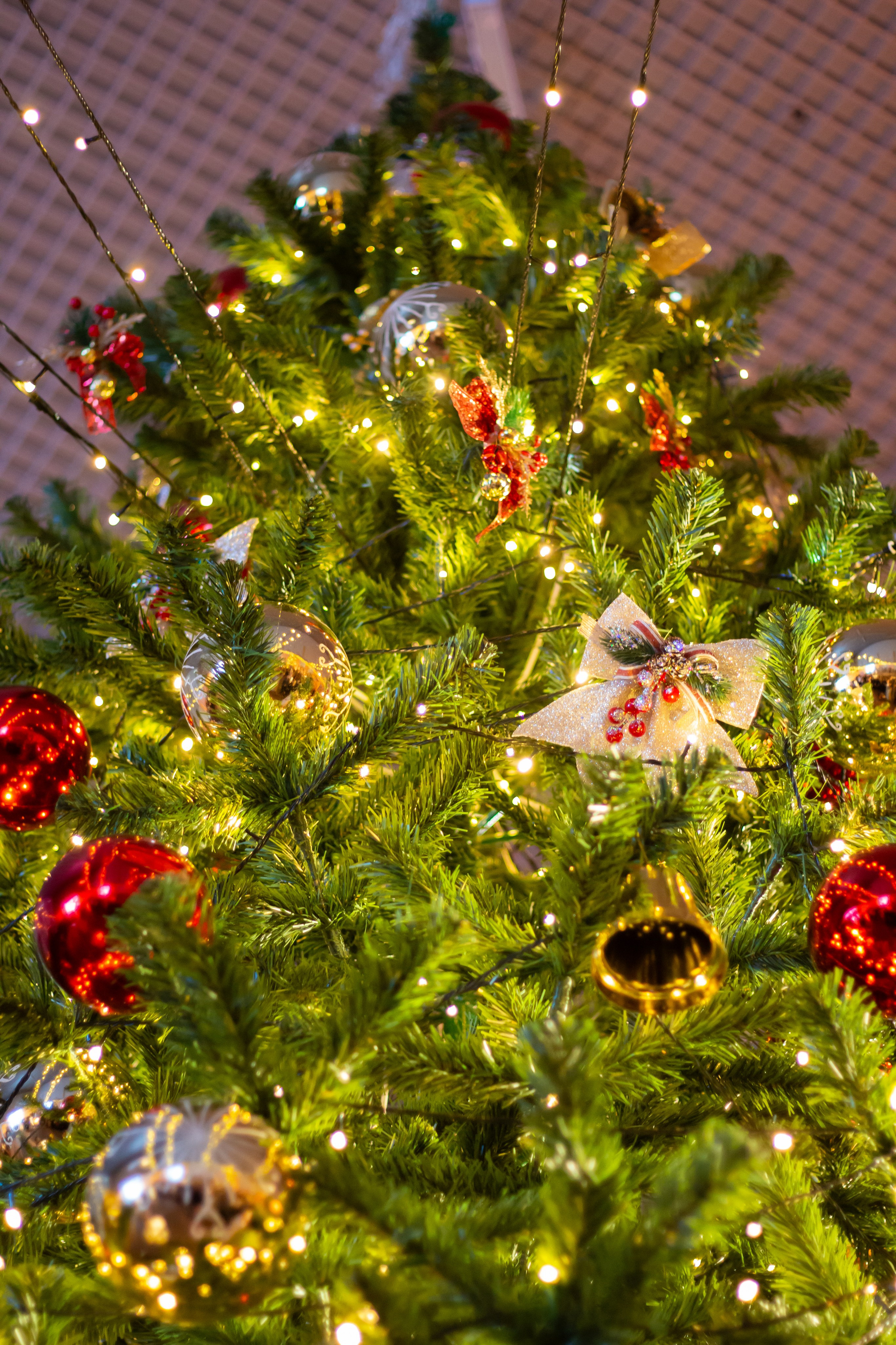 Зимний бал ГГТУ 2025. Фотограф • Орехово-Зуево • Балашиха • TEFO