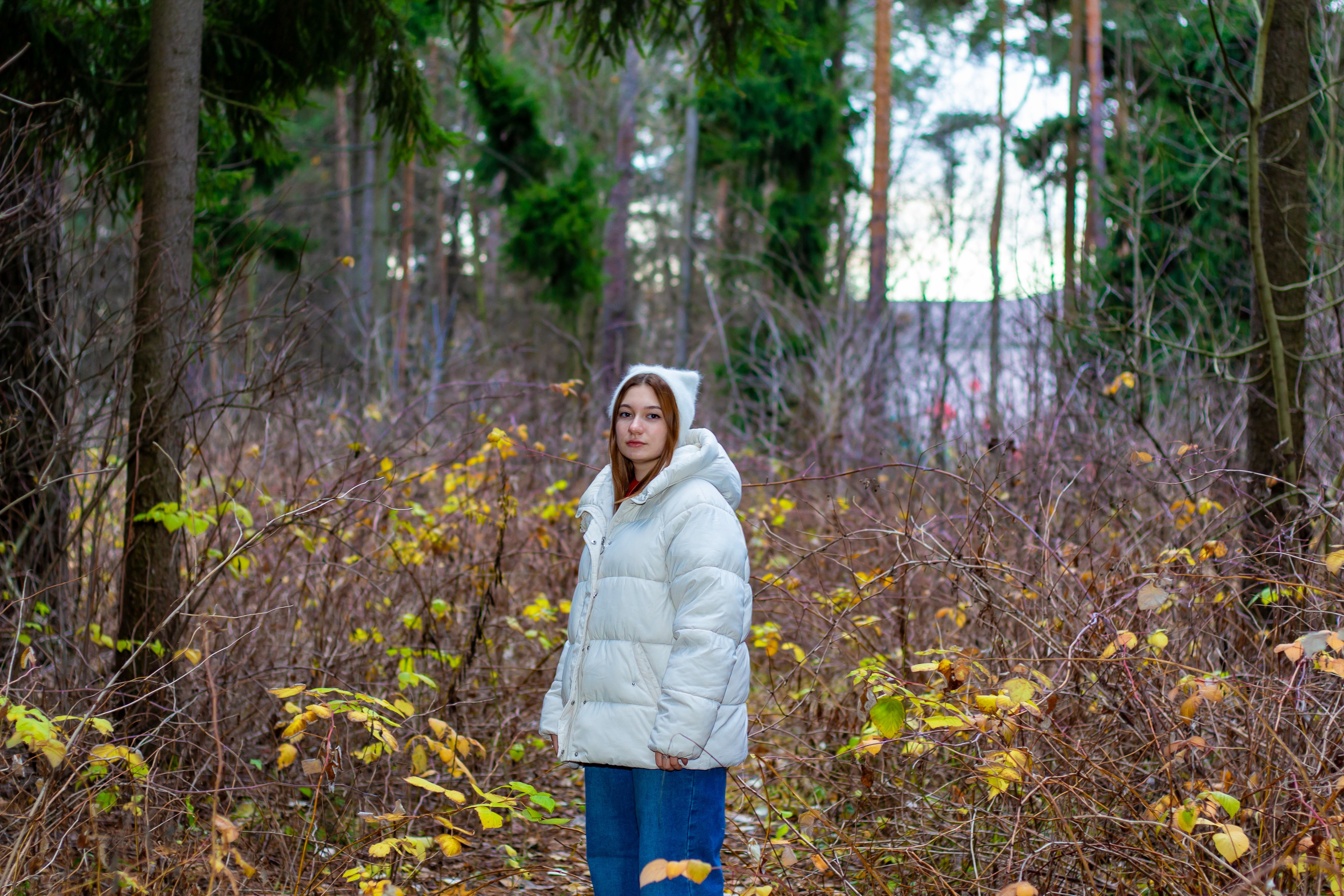 Золотая осень. Фотограф • Орехово-Зуево • Балашиха • TEFO