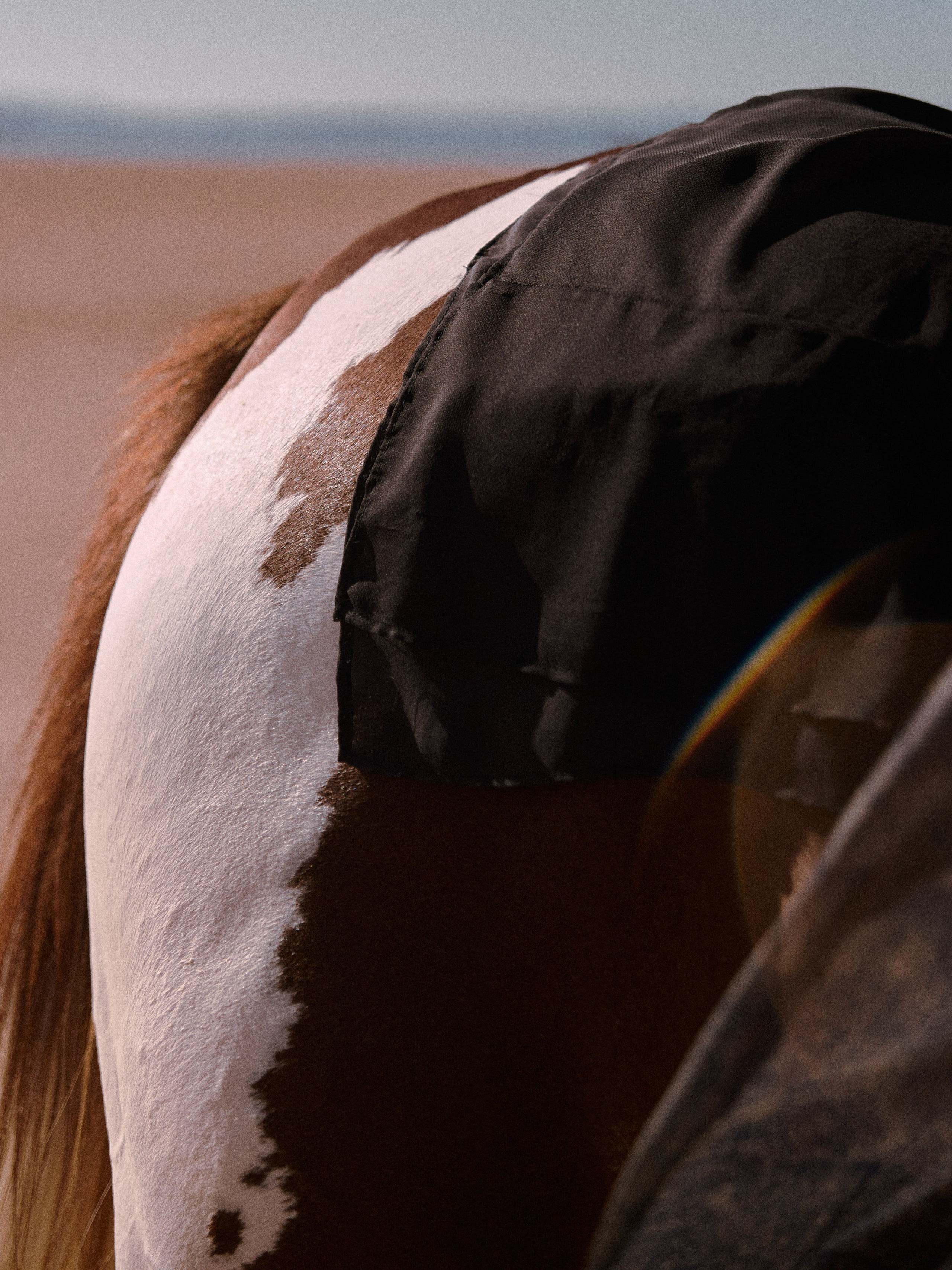 Диптих. Jorgis — фотограф в Хургаде / обучение фотографии