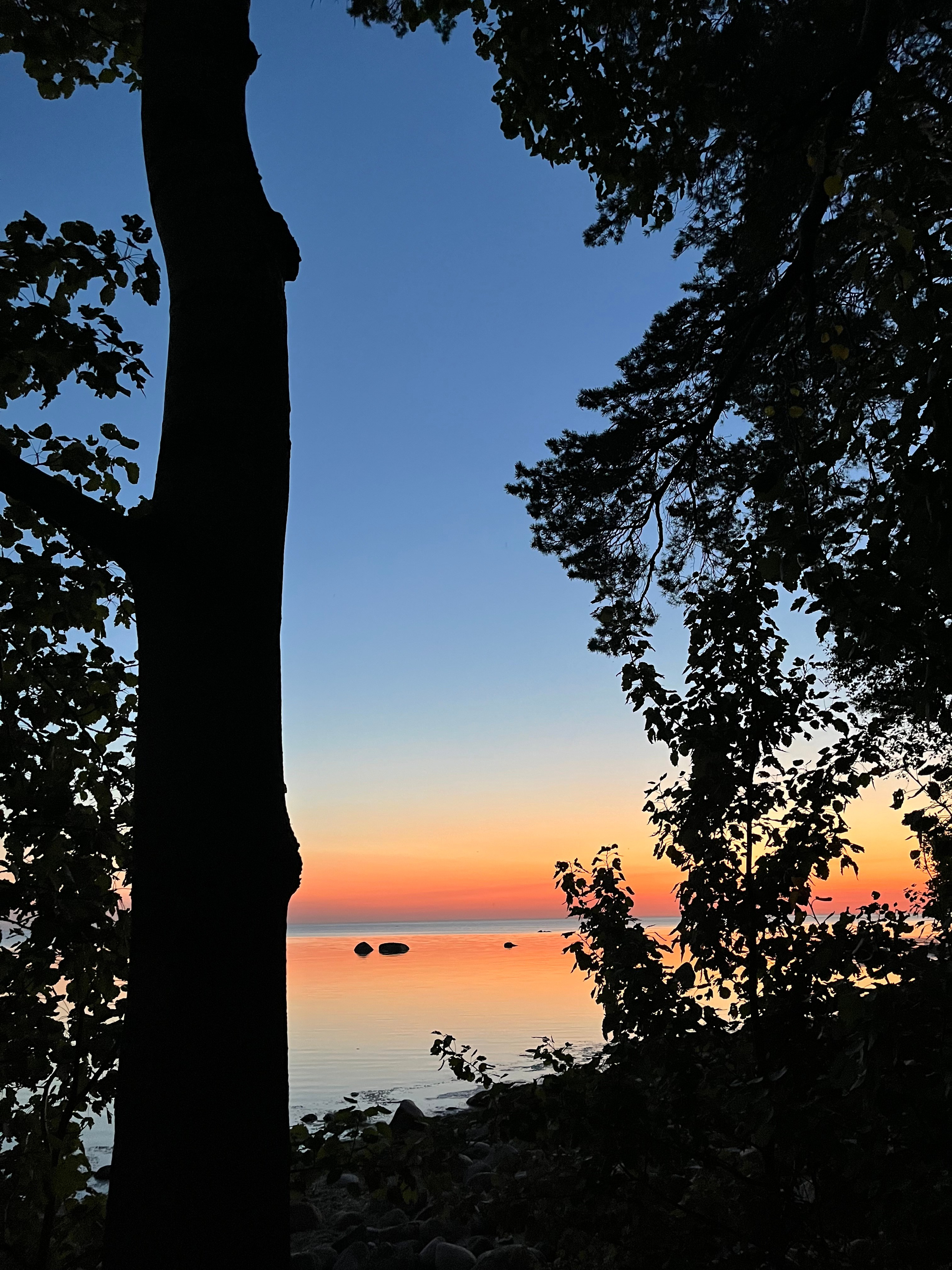 МЕРОПРИЯТИЯ 2025. МОТОШКОЛА в городе Витебске. Обучение категории А и А1