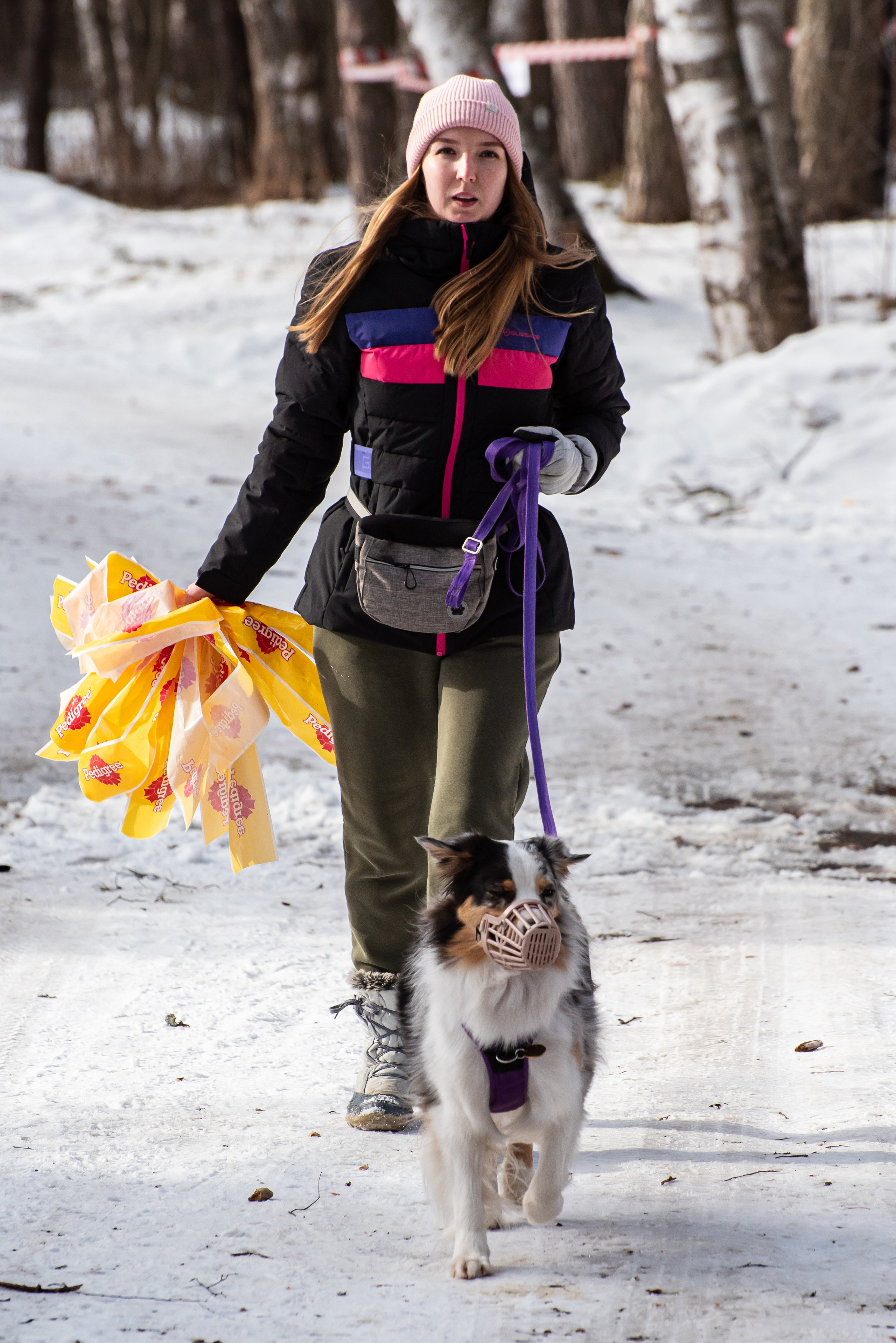 Фотосъёмка с собаками в Кинологическом лагере. Фотограф Макс Огурцов в Нижнем Новгороде