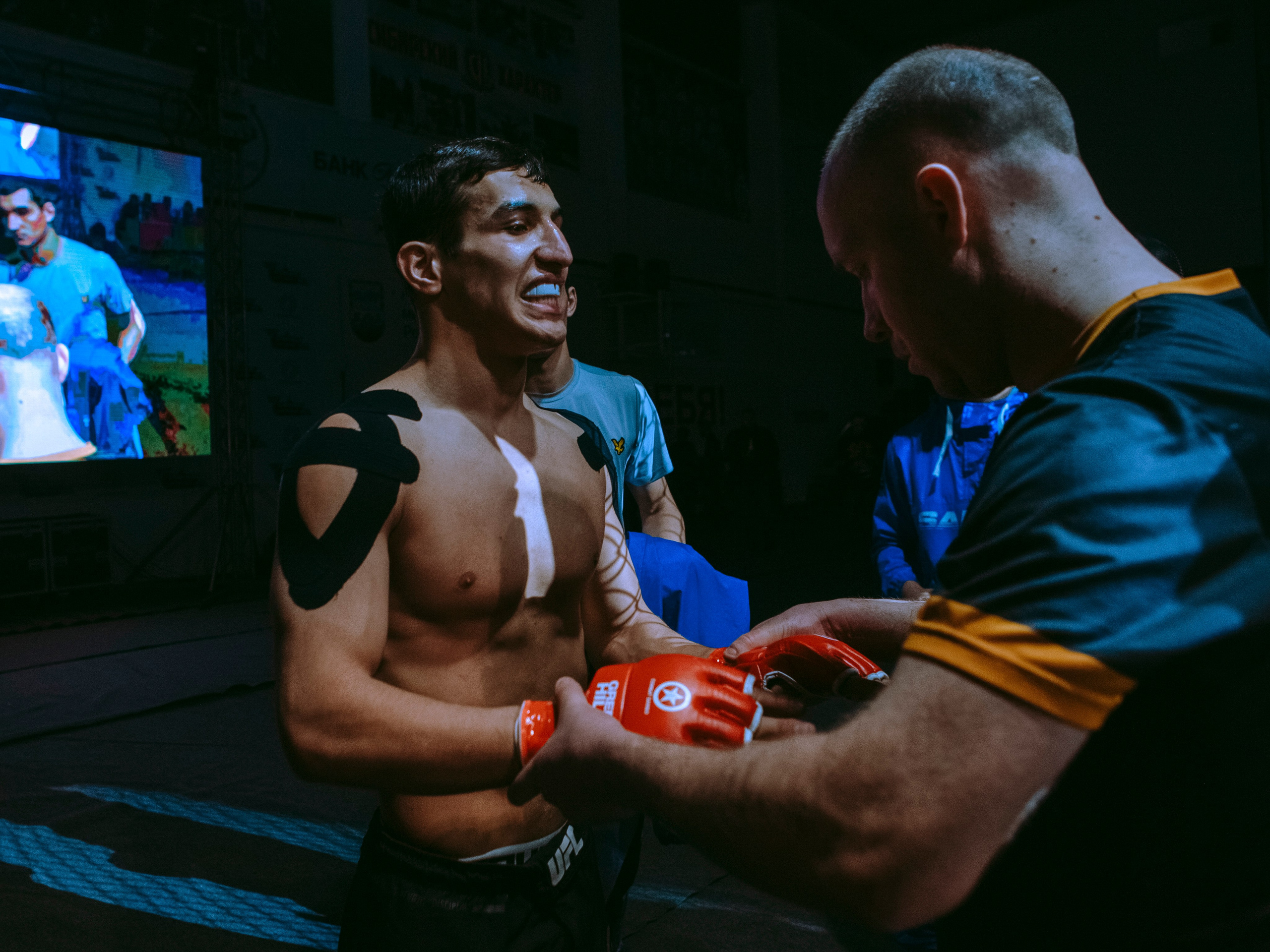 SFL 17 | Siberian Fighting League. Портретный фотограф в Москве Дарья Цезария