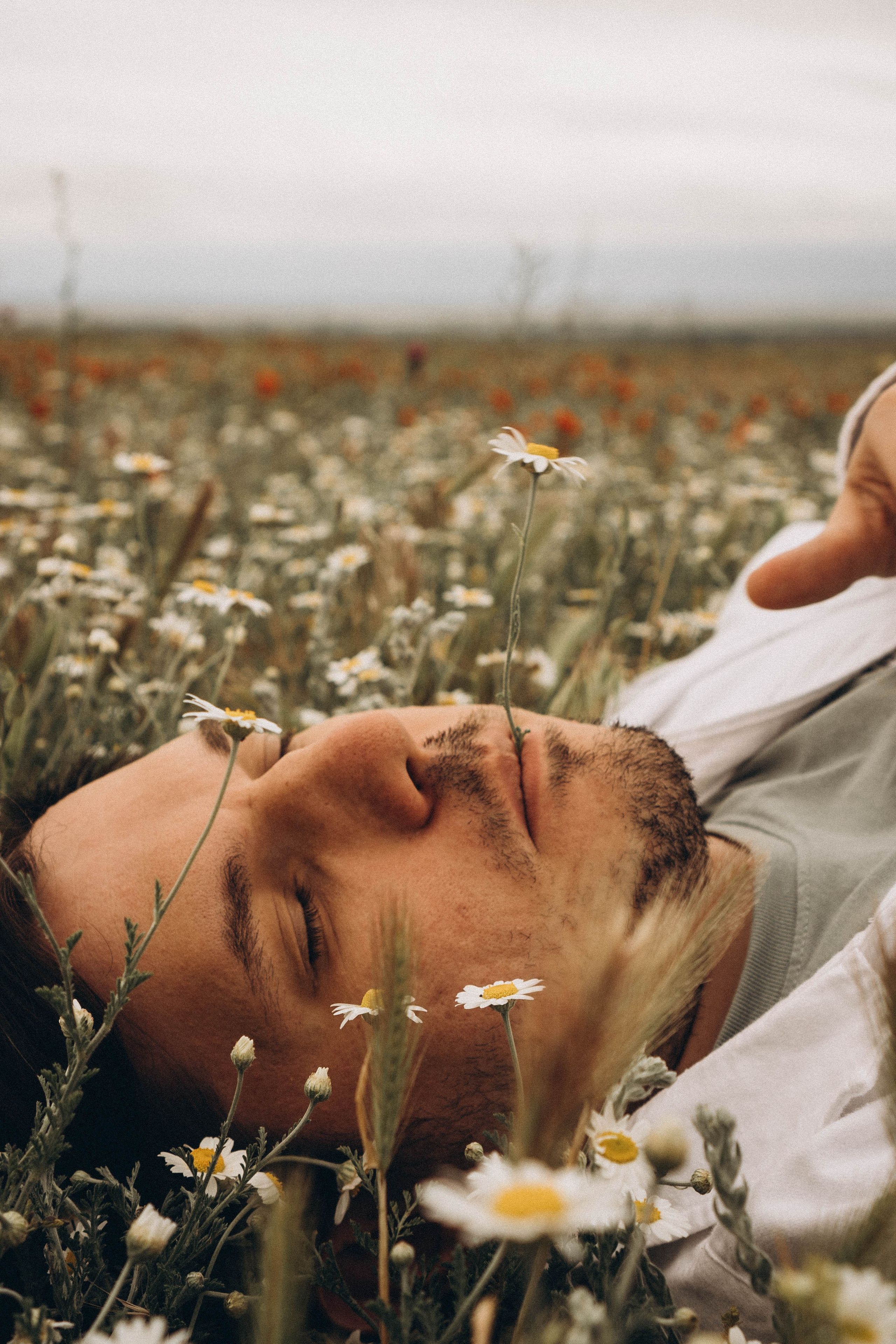 Маки. Профессиональный фотограф, Санкт-Петербург — Виктория Богомолова