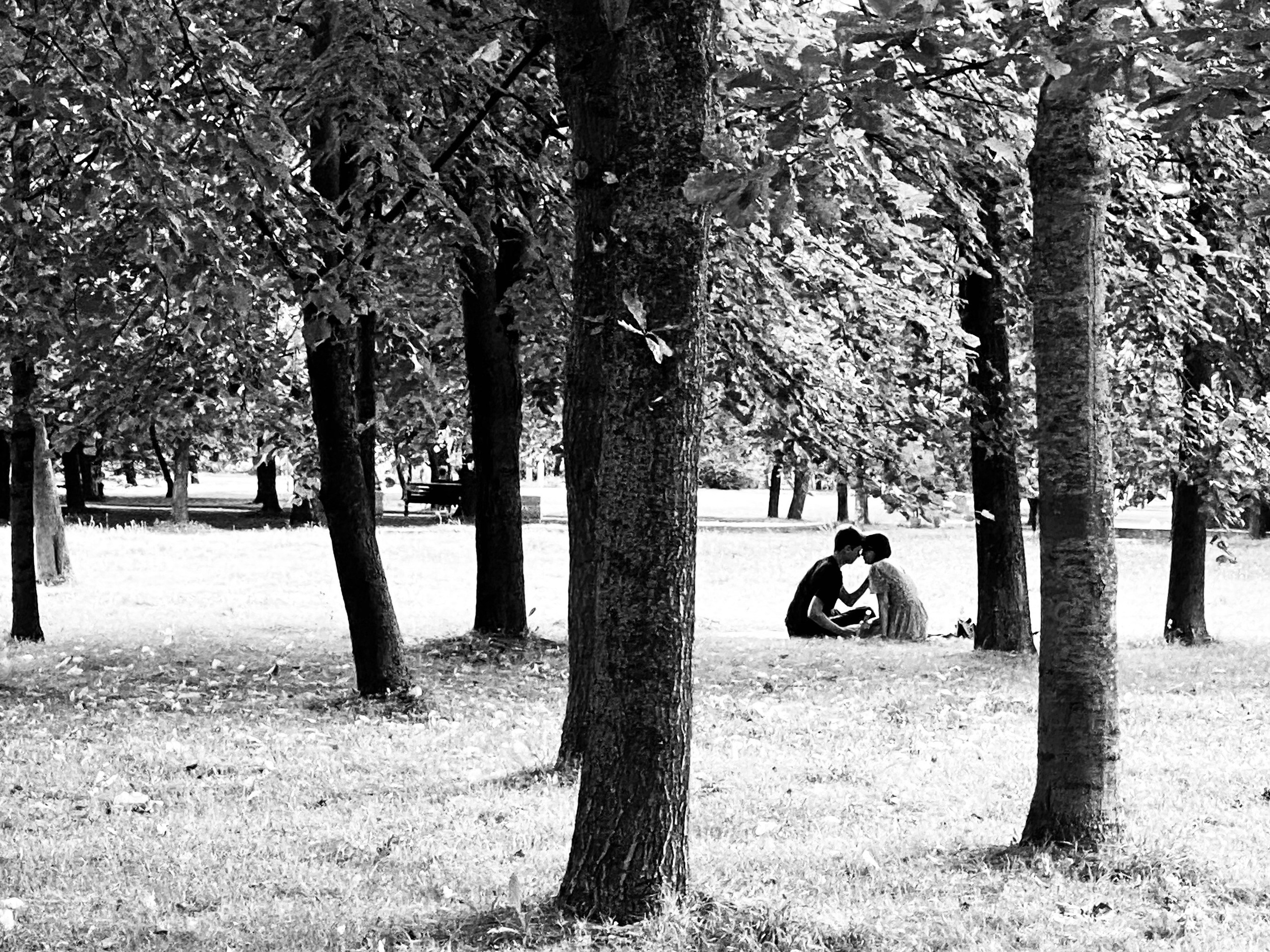 Двое — авторская фотография Ма. Ма