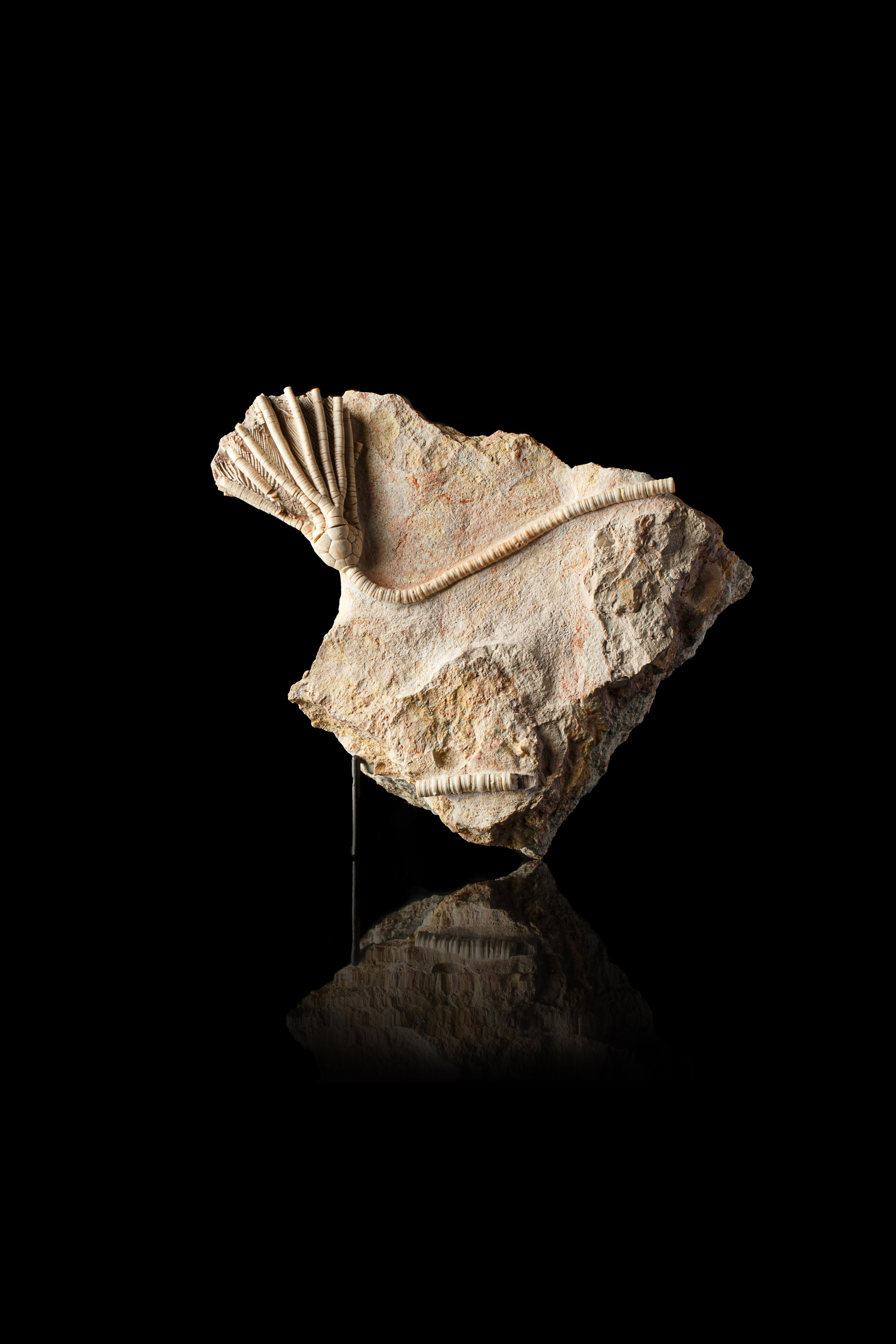 Профессиональная обработка натуральных камней, минералов и ископаемых | Студия SVITHART