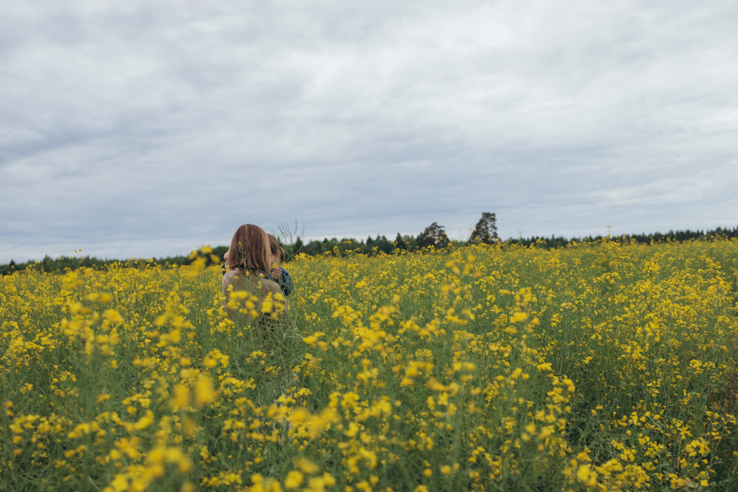 После дождя. Фотограф Елена Рябцева