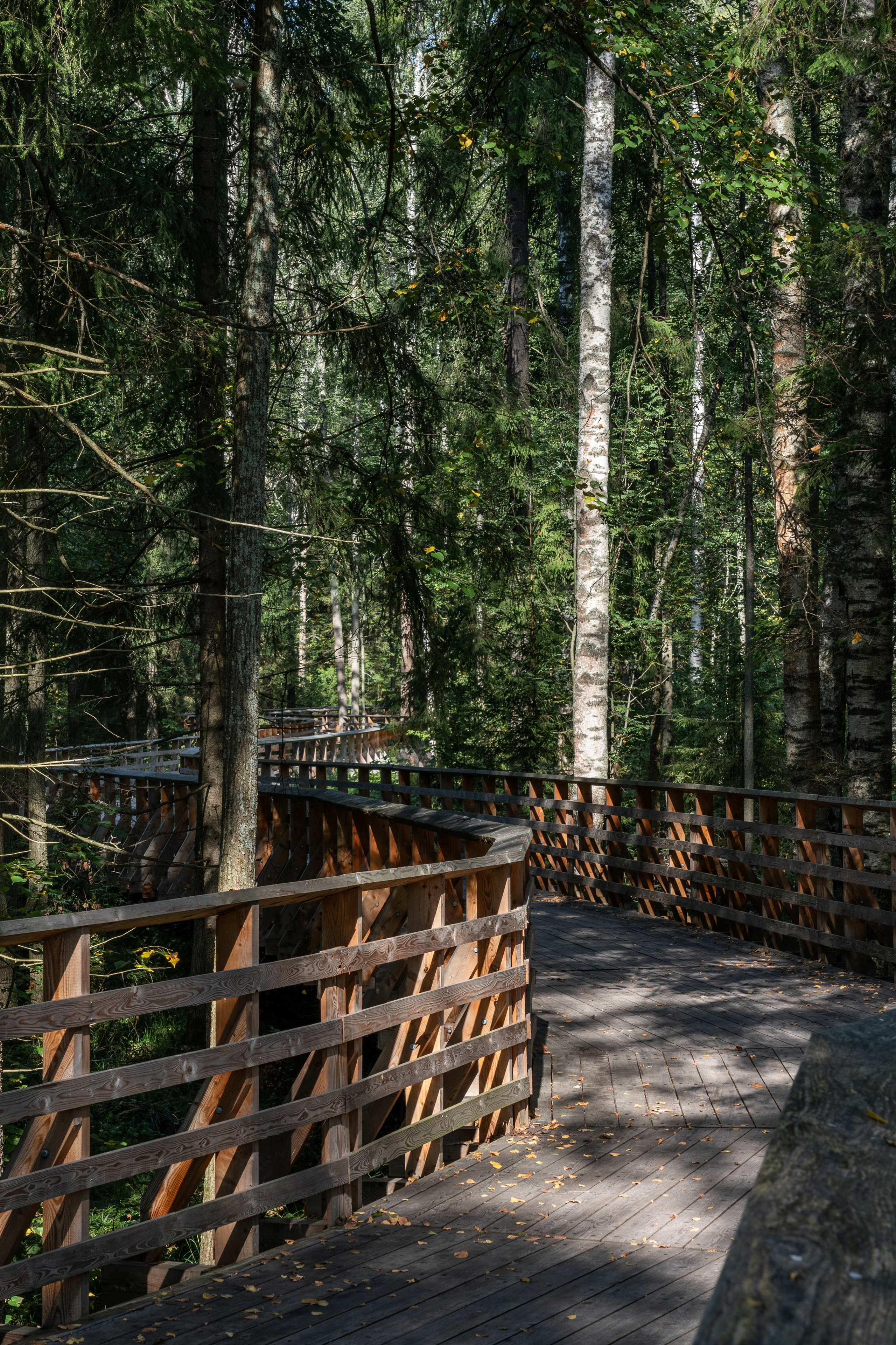 VELO1. Артамонов Александр | Архитектурный и ландшафтный фотограф