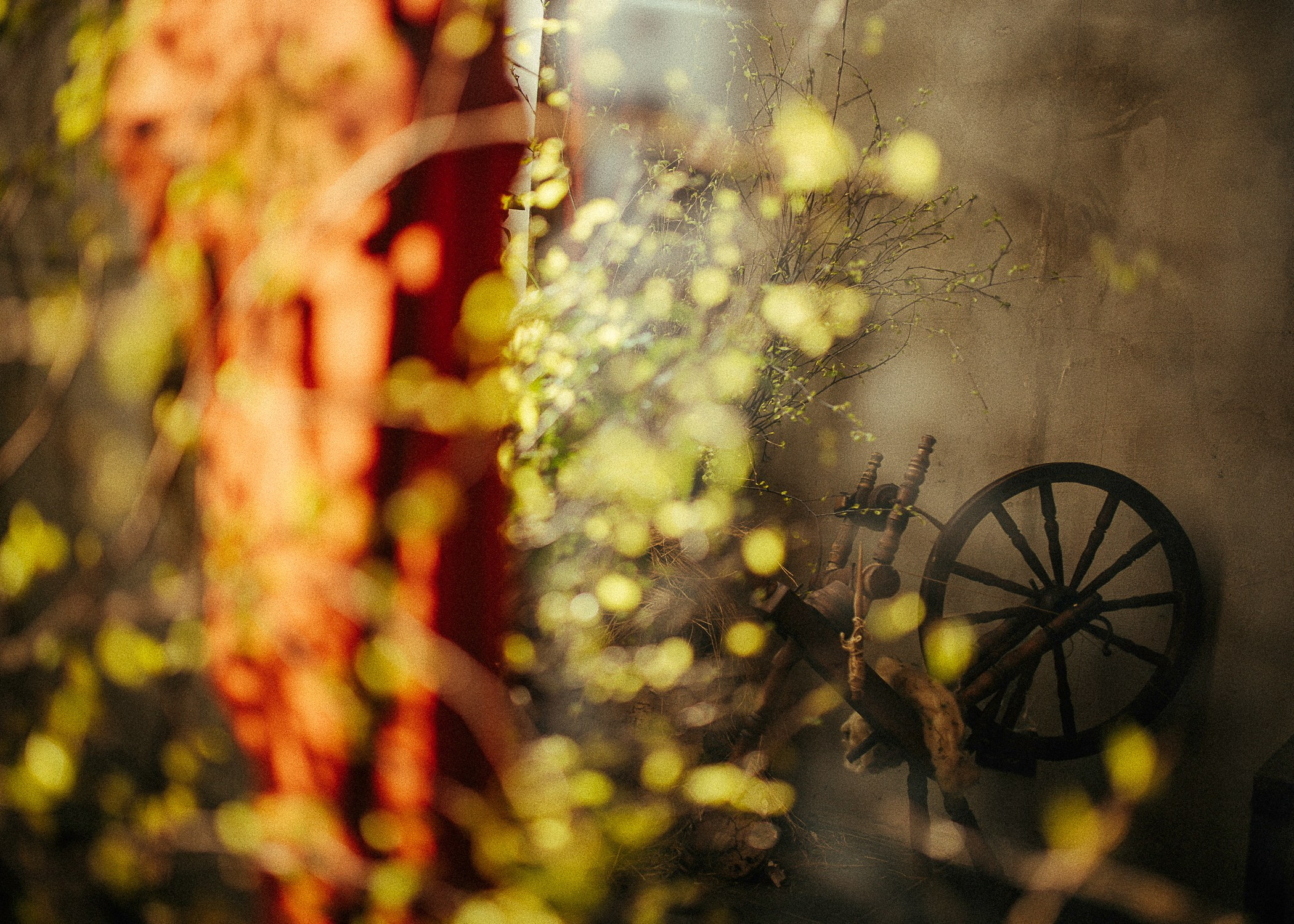 Фотостудия Зачарованный сад в Екатеринбурге — Студия с роялем для незабываемых фотосессий. Фотостудия «Зачарованный Сад» в 20 минутах от центра Екатеринбурга