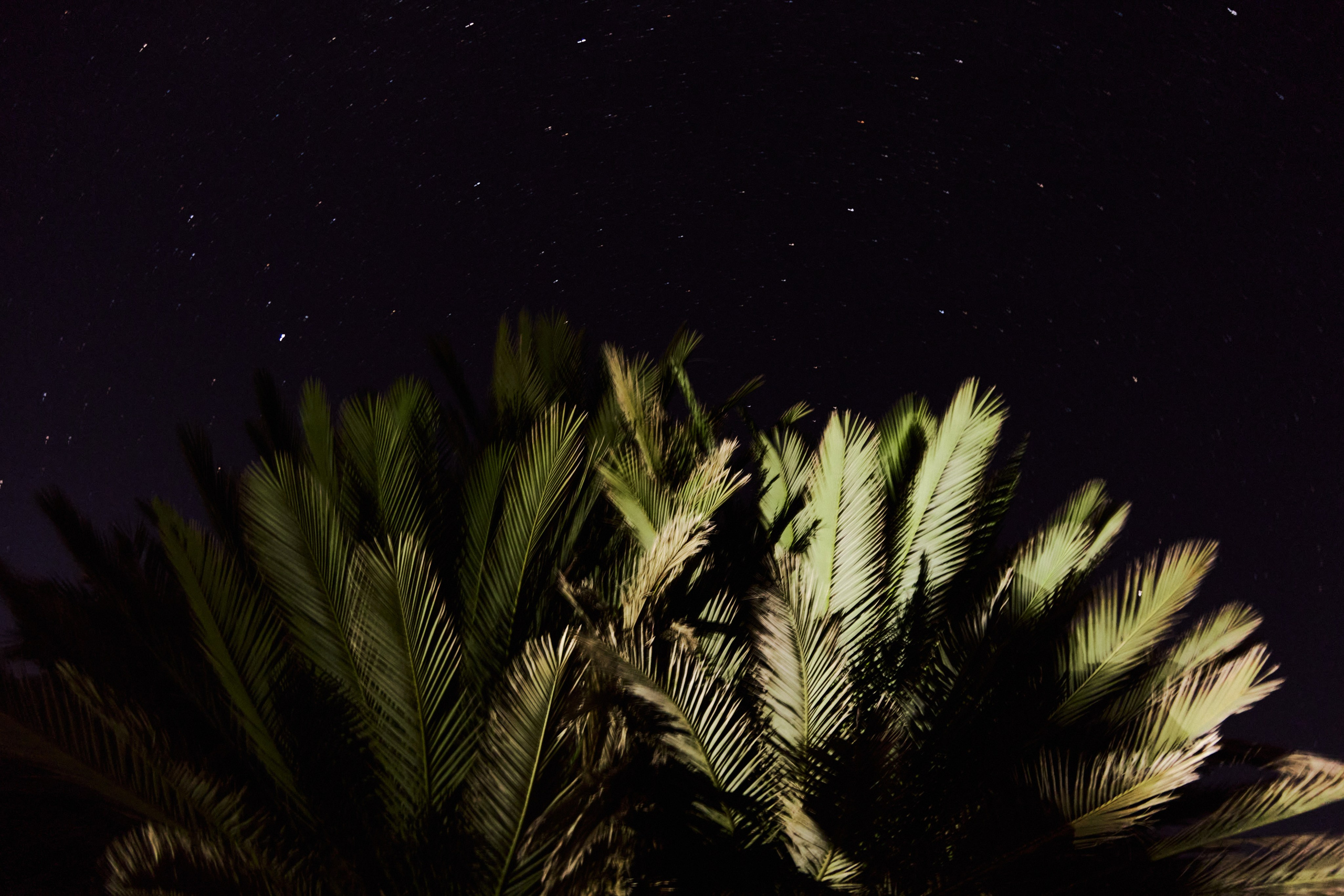 Другое 3. Jorgis — фотограф в Хургаде / обучение фотографии