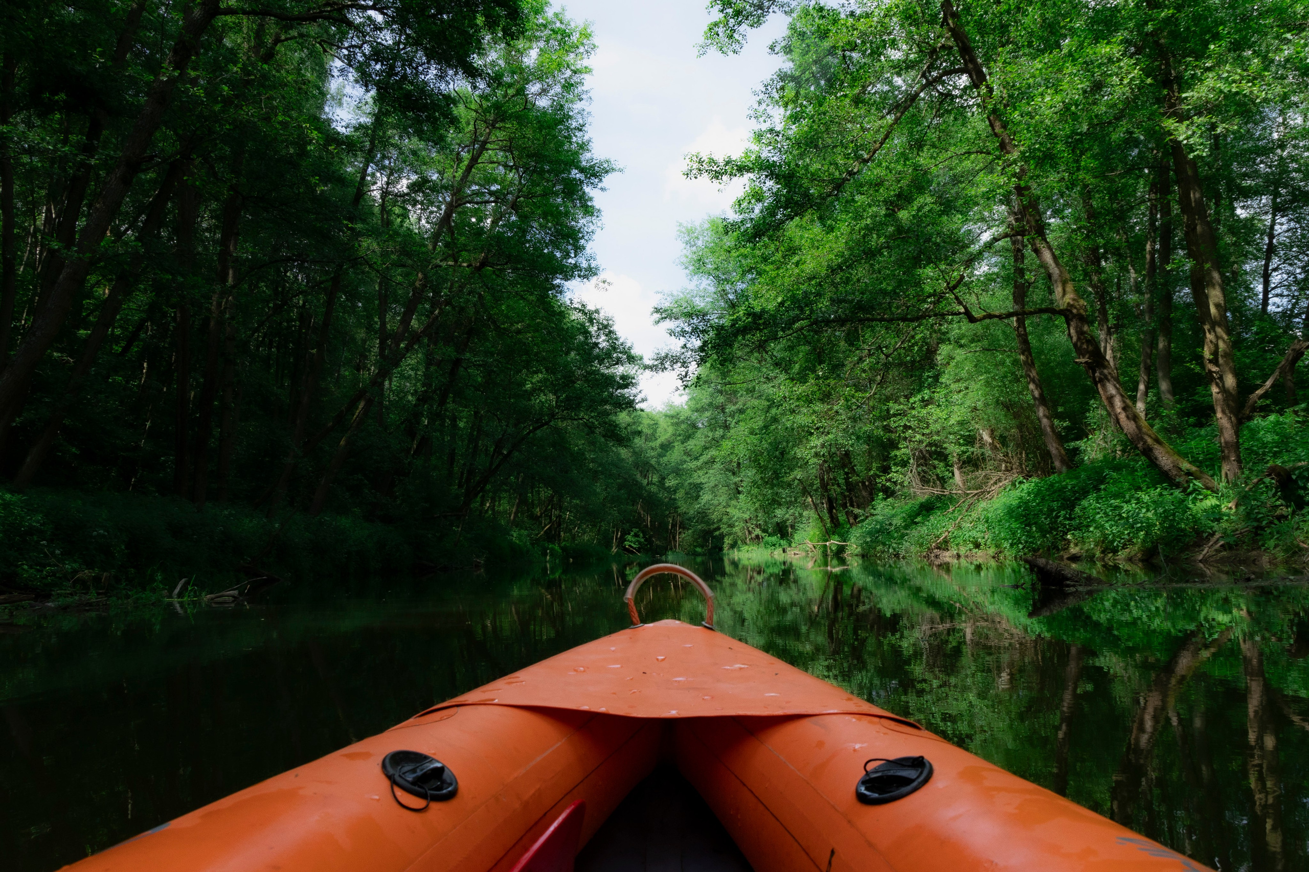 Репортаж. XVVIO PHOTOGRAPHY