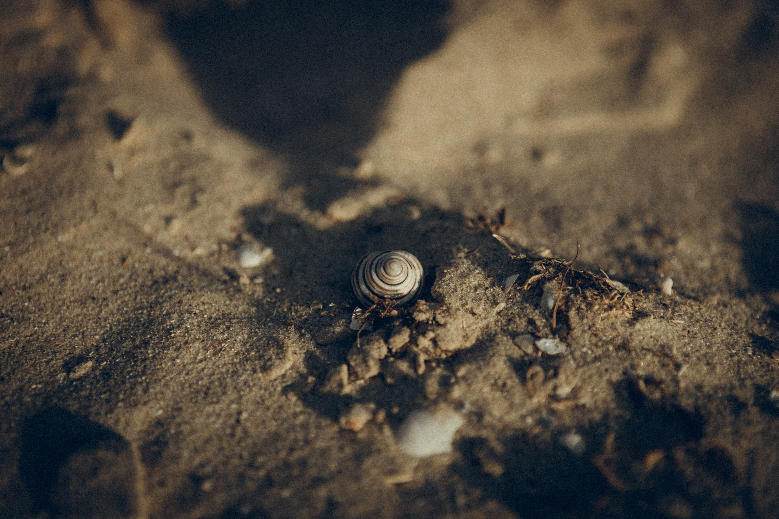 Family moment 💫. Семейный фотограф и фотограф на роды в Ростове-на-Дону Мухина Виктория