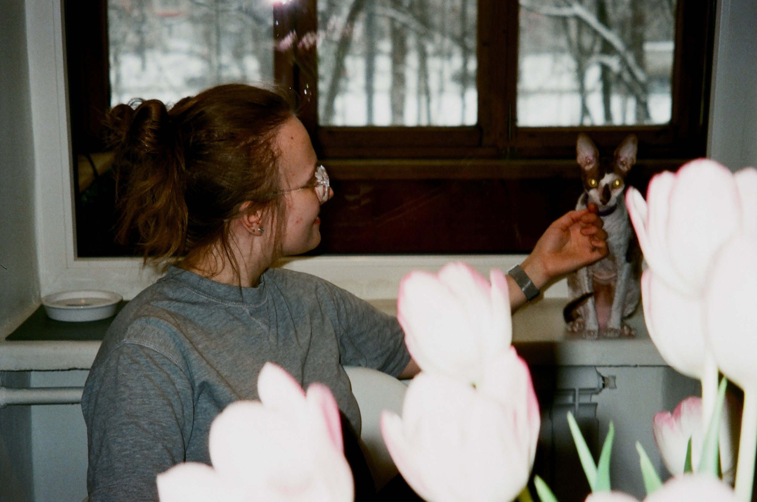 Film. Ruslan UI Dev Page