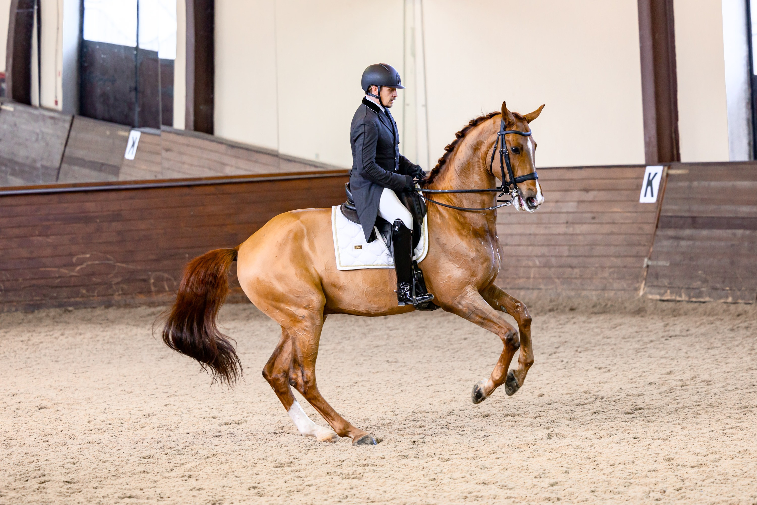 Выездка. Mrs.Aquarelia Конный фотограф Марианна Леонтьева