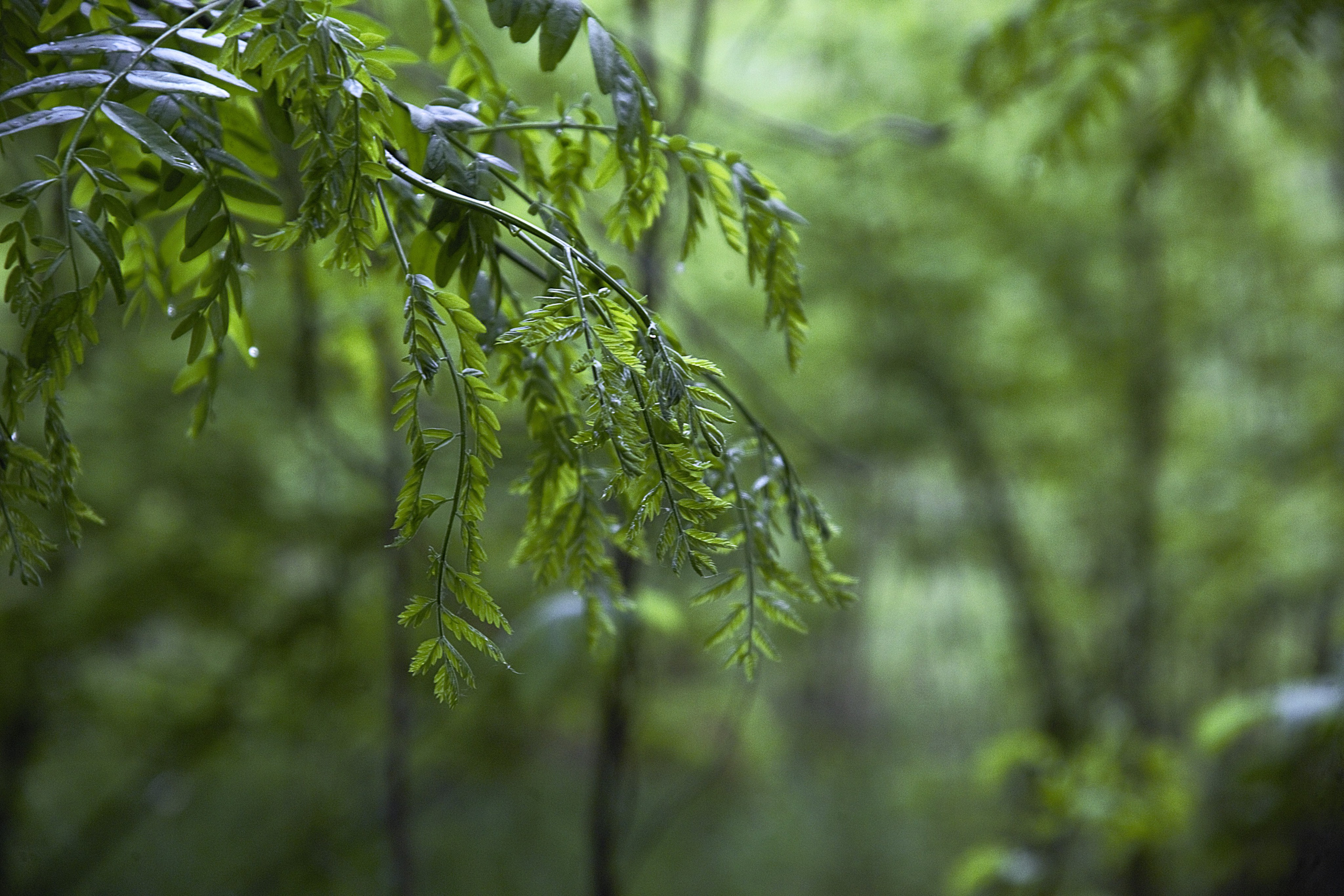 Мои работы. Фотограф Москва-Нальчик Абазов Астемир