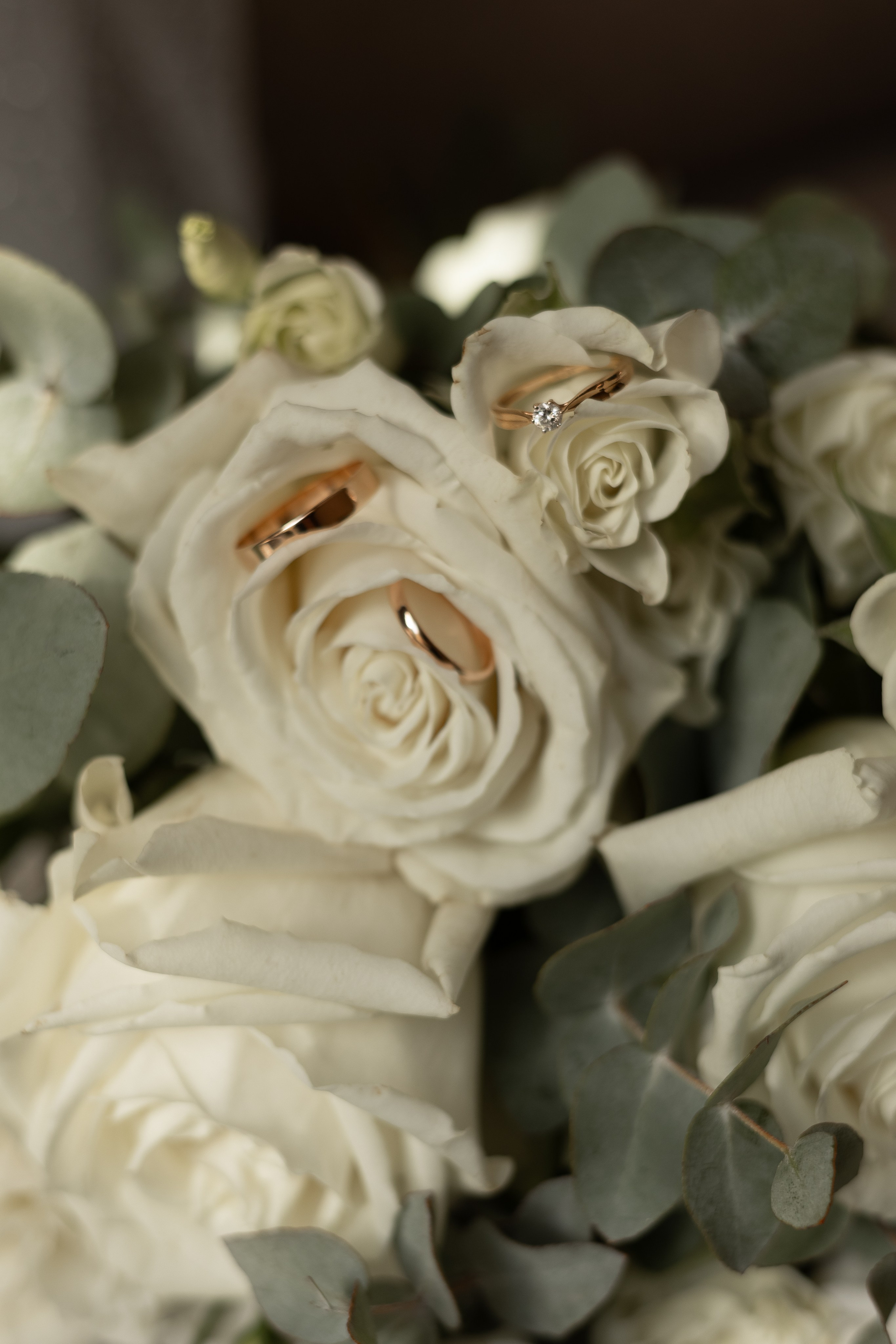 How to Train Your Dragon. Свадебный и семейный фотограф Арина Кулёва