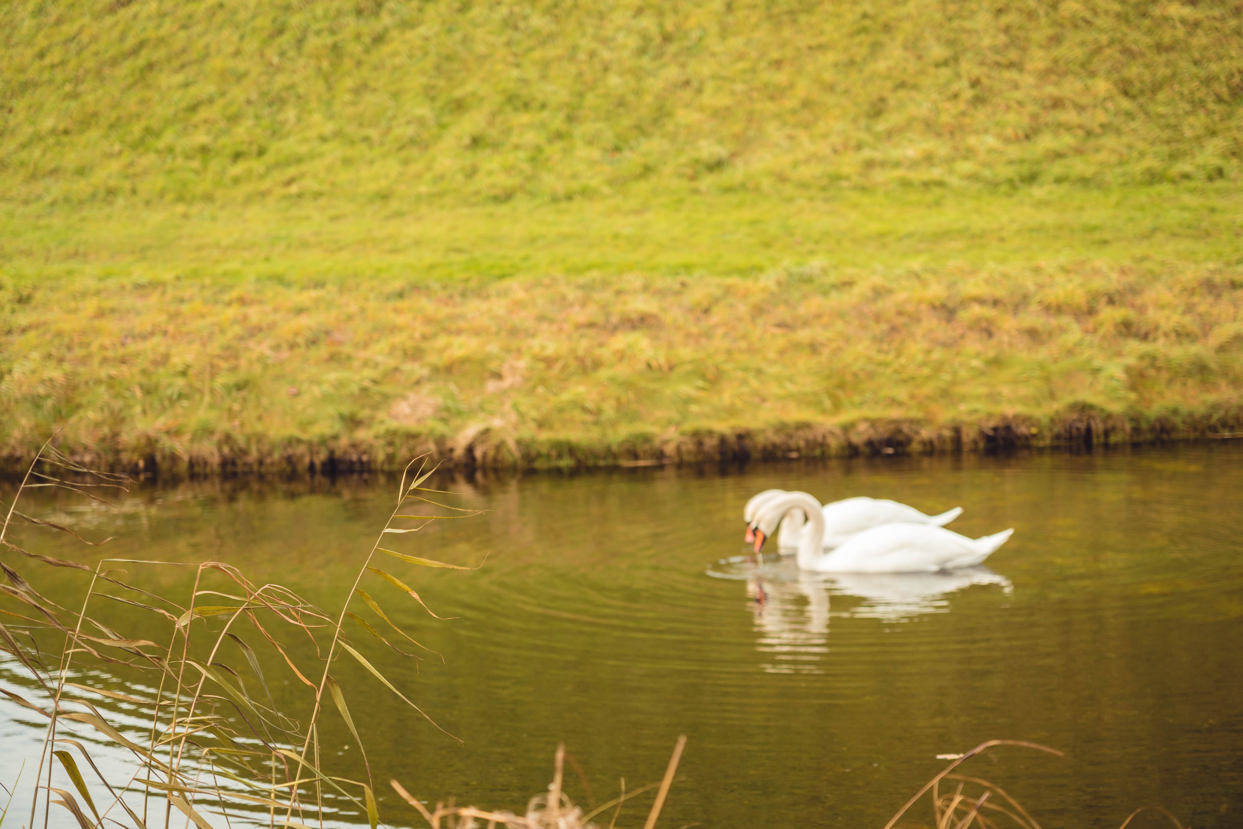 Дания. Фотографирую для себя, своей семьи и друзей!