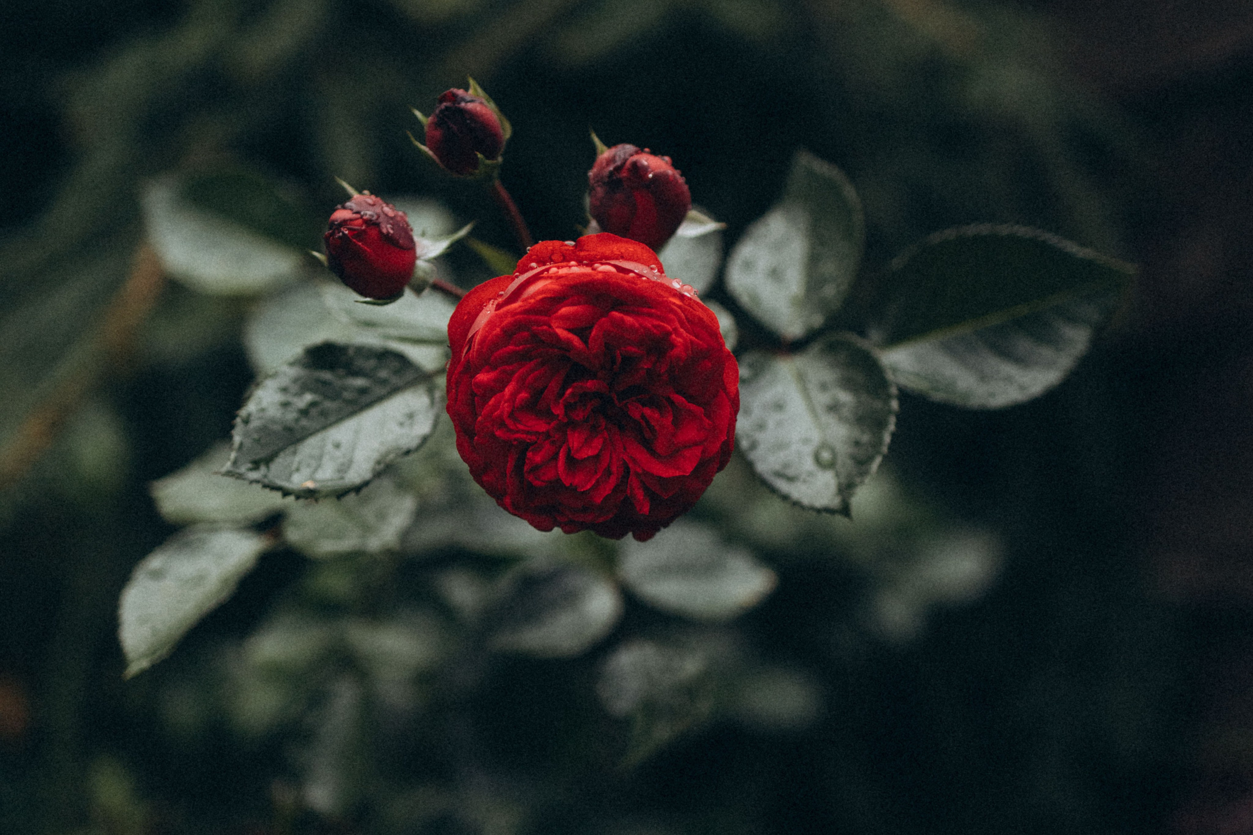 Таня и Тери