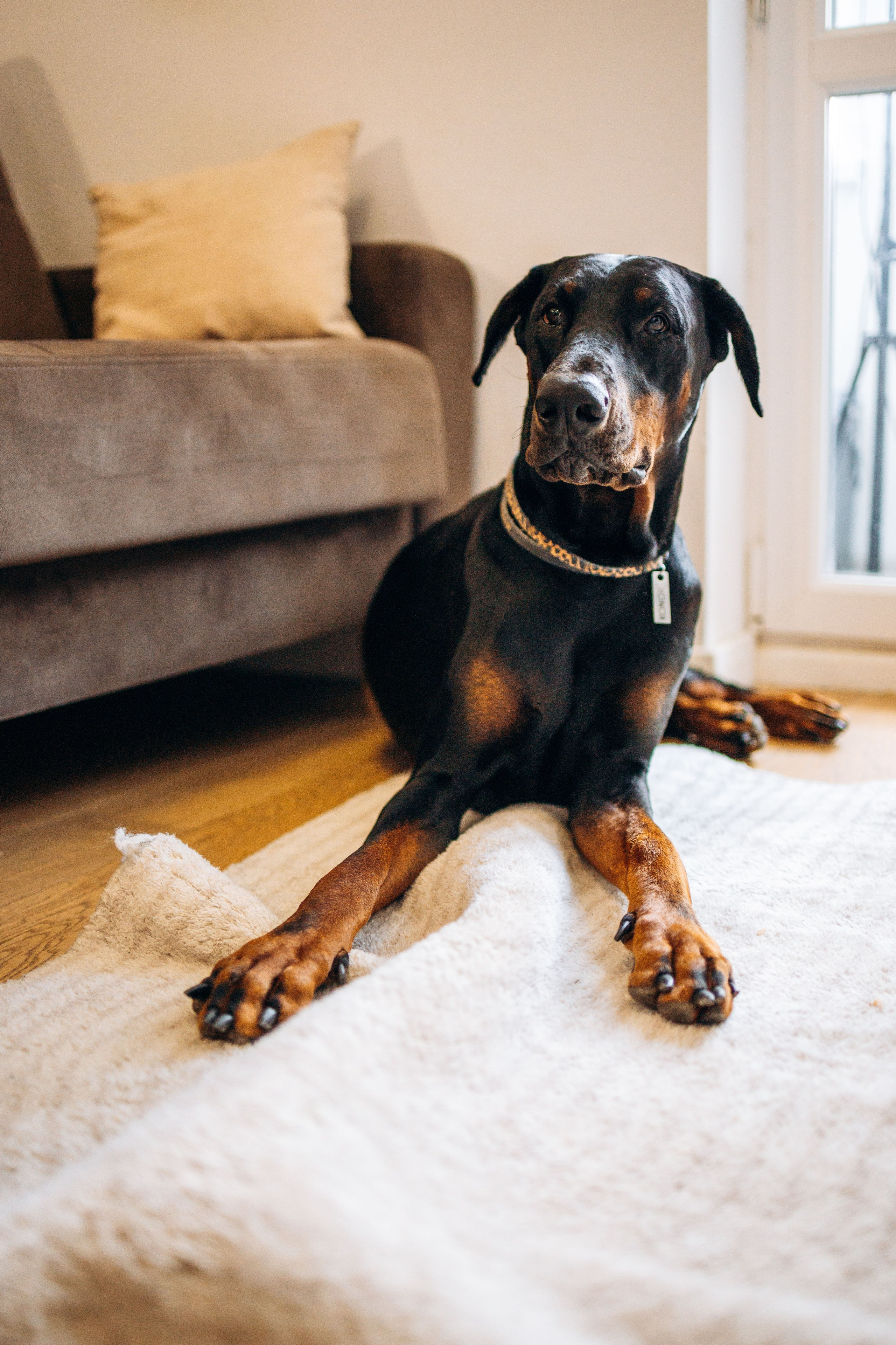 Катя и Конор