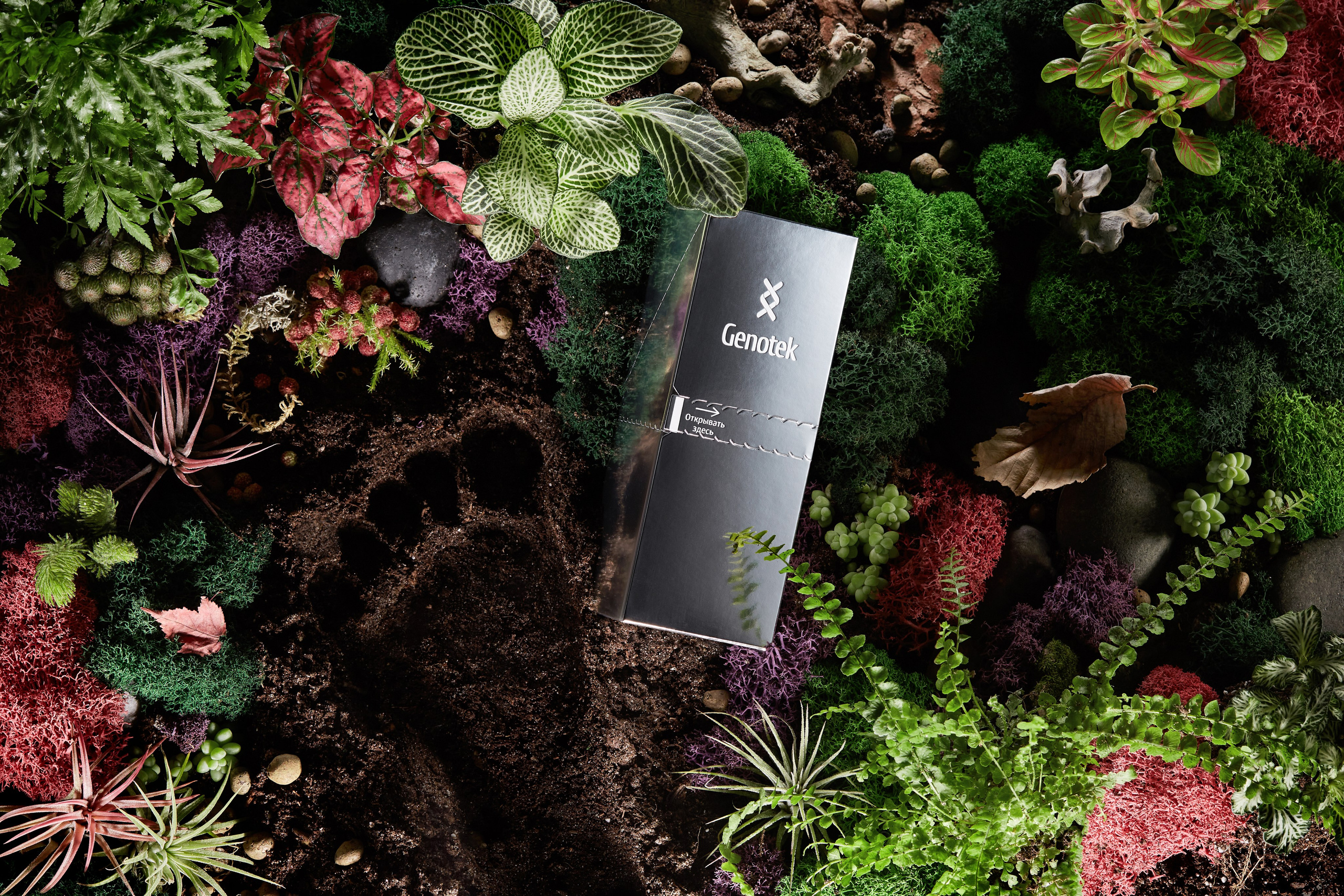 Портфолио. Владислав Дымов — коммерческий фотограф в Москве