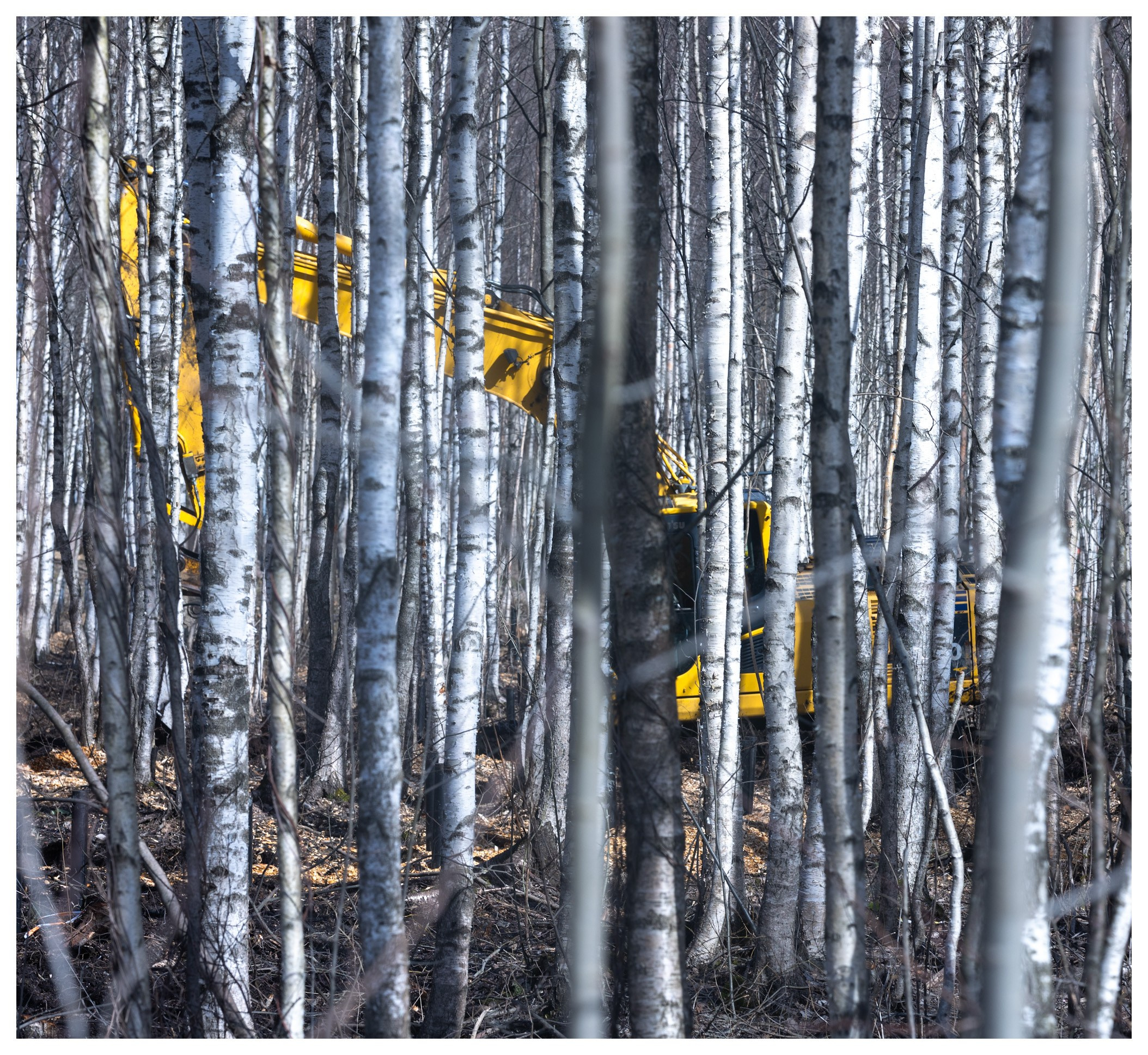 Spring. Photo project