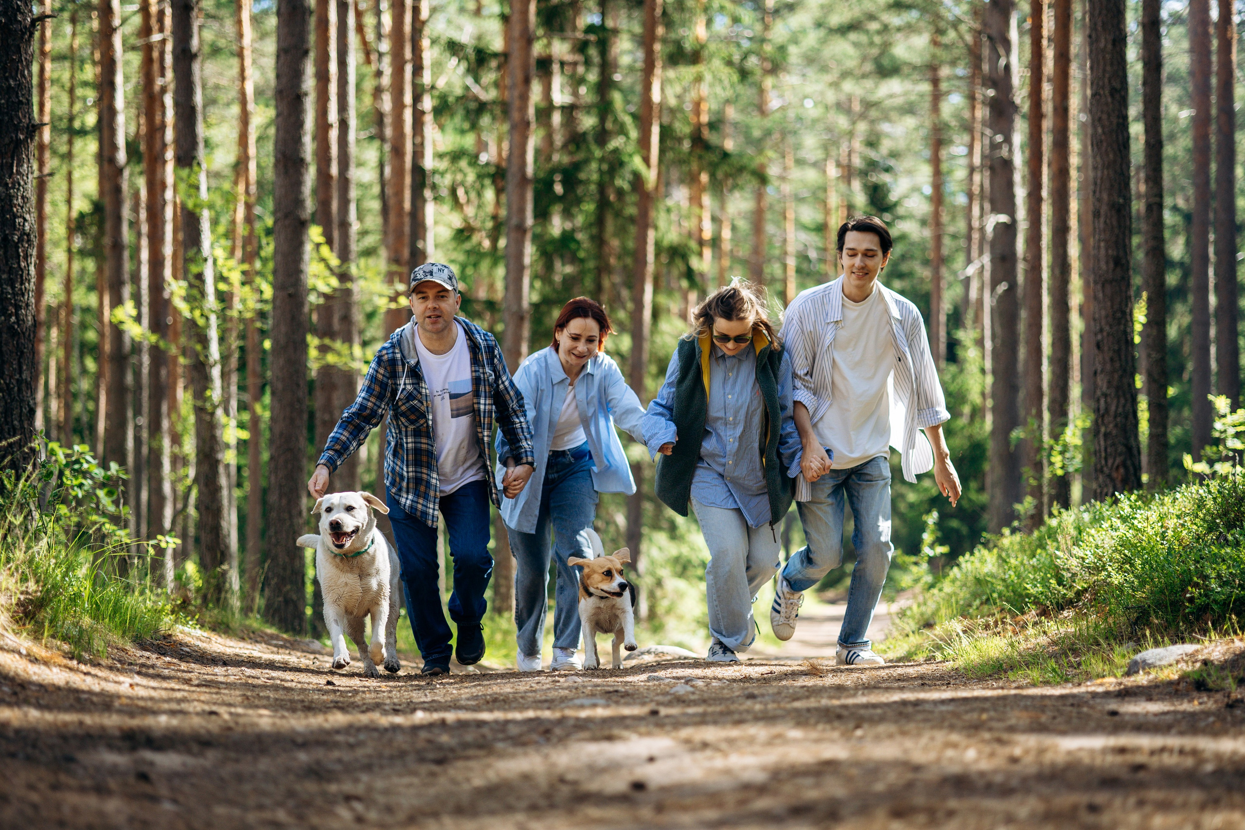 Котофеи и их семья. Фотограф — Анималист | Санкт-Петербург