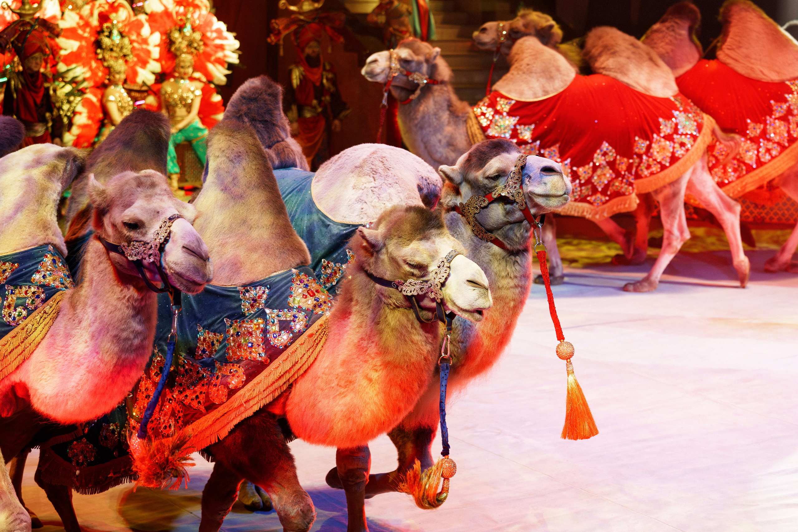 Новое шоу Гии Эрадзе «ПЕСЧАНАЯ СКАЗКА». Фотомастерская Воробьевых